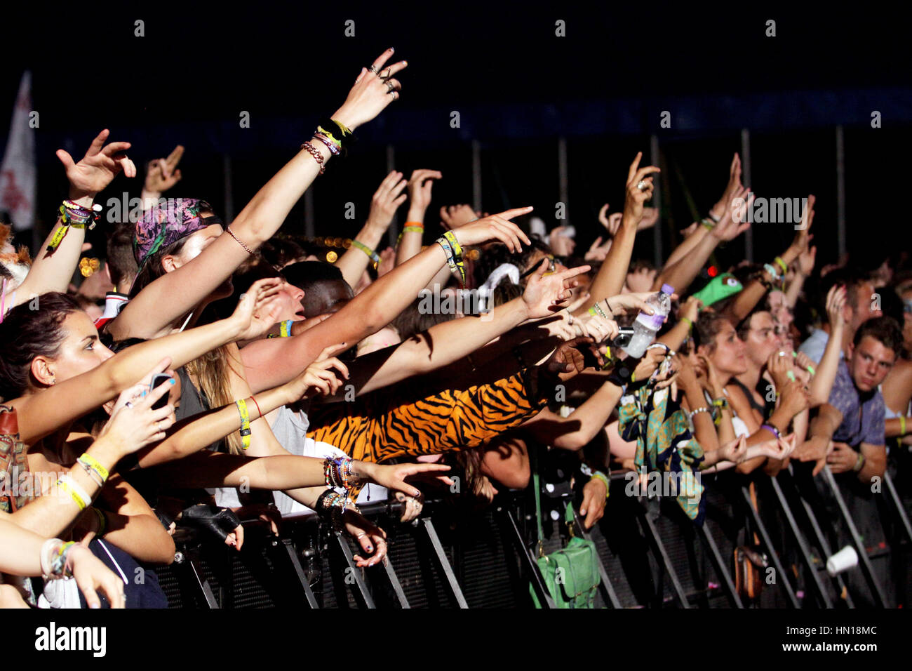 Musik-Festival-Publikum Stockfoto