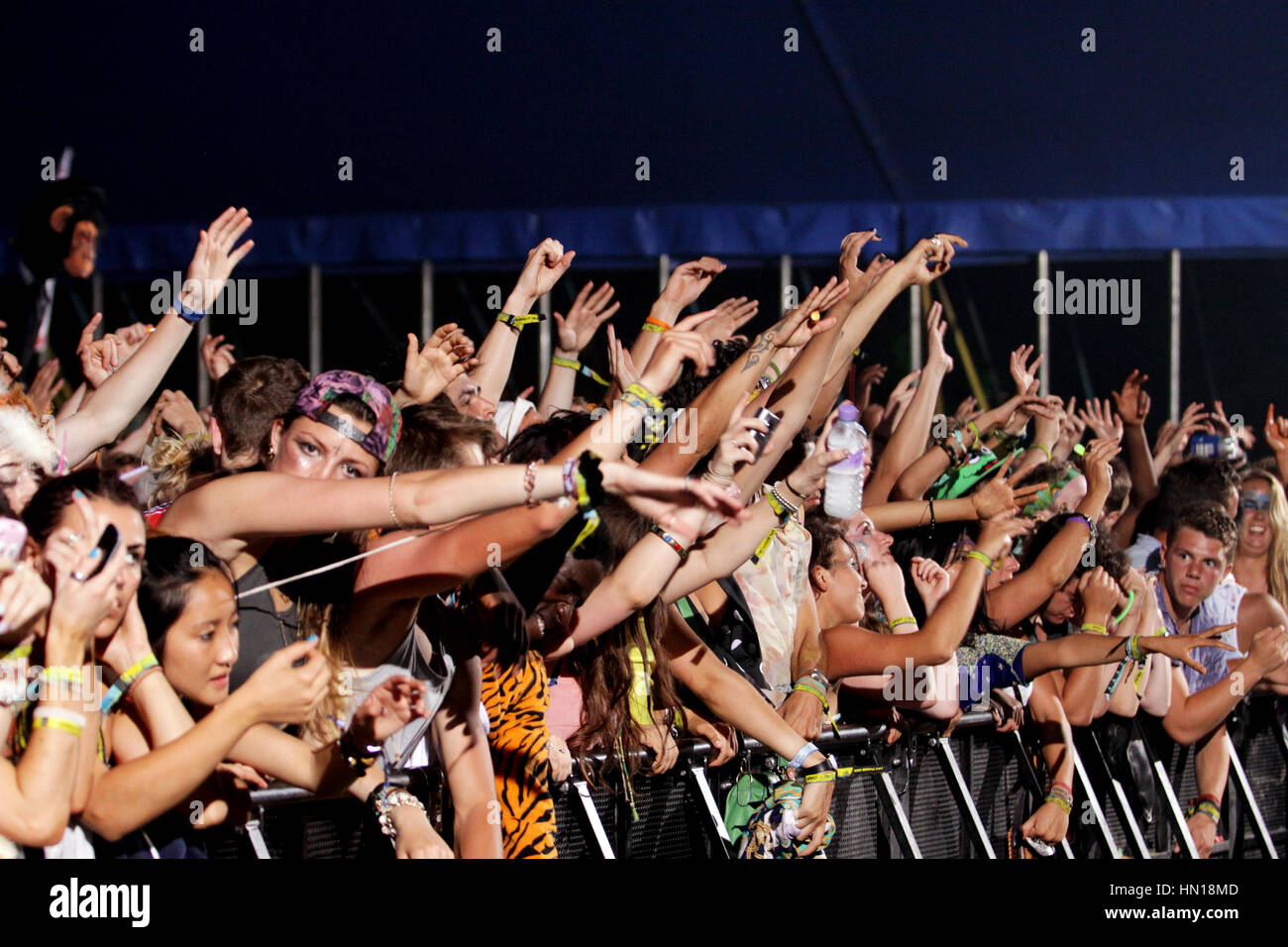 Musik-Festival-Publikum Stockfoto