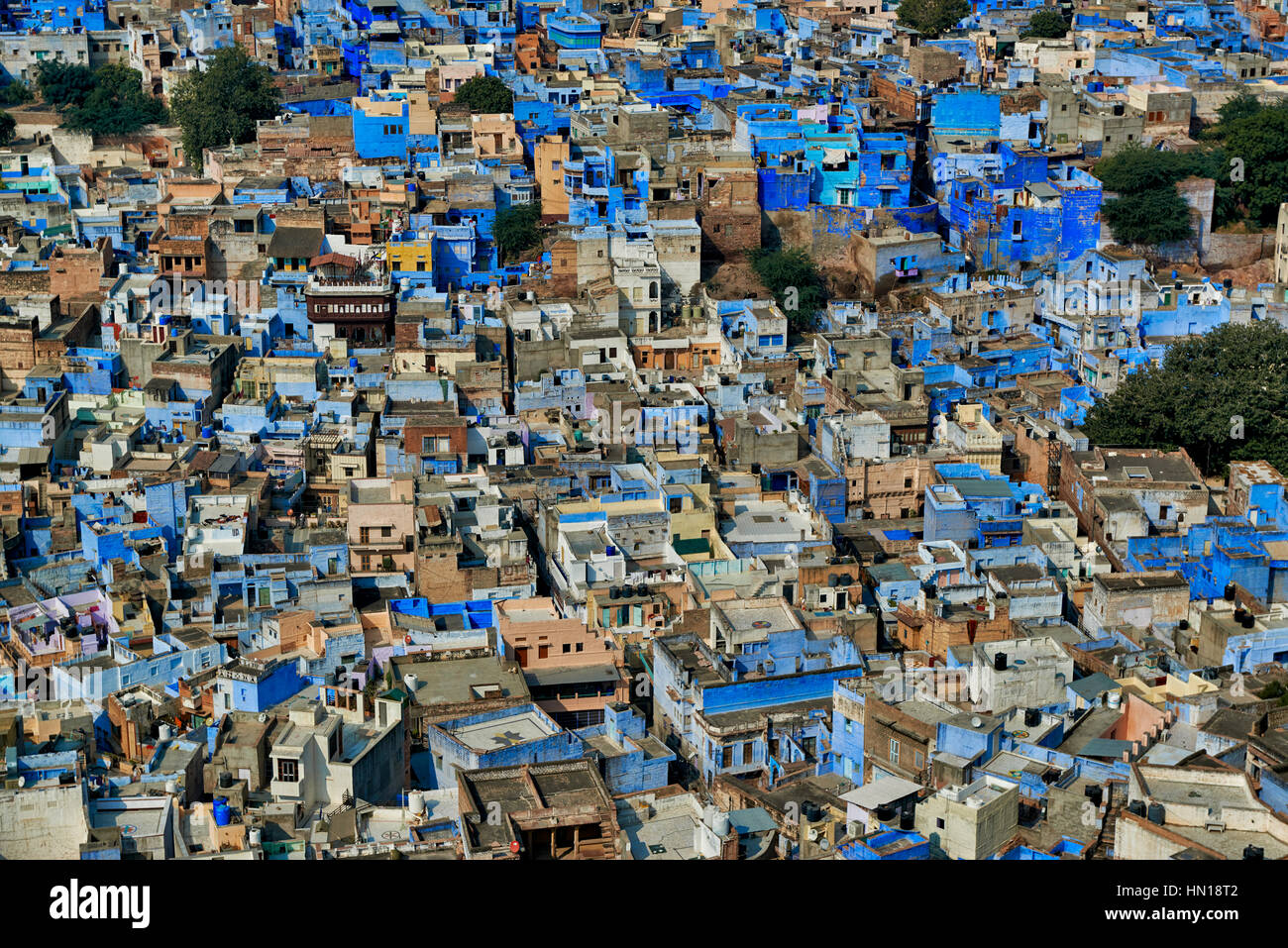 Arial Ansicht der blaue farbige Häuser Jodhpur, Rajasthan, Indien Stockfoto