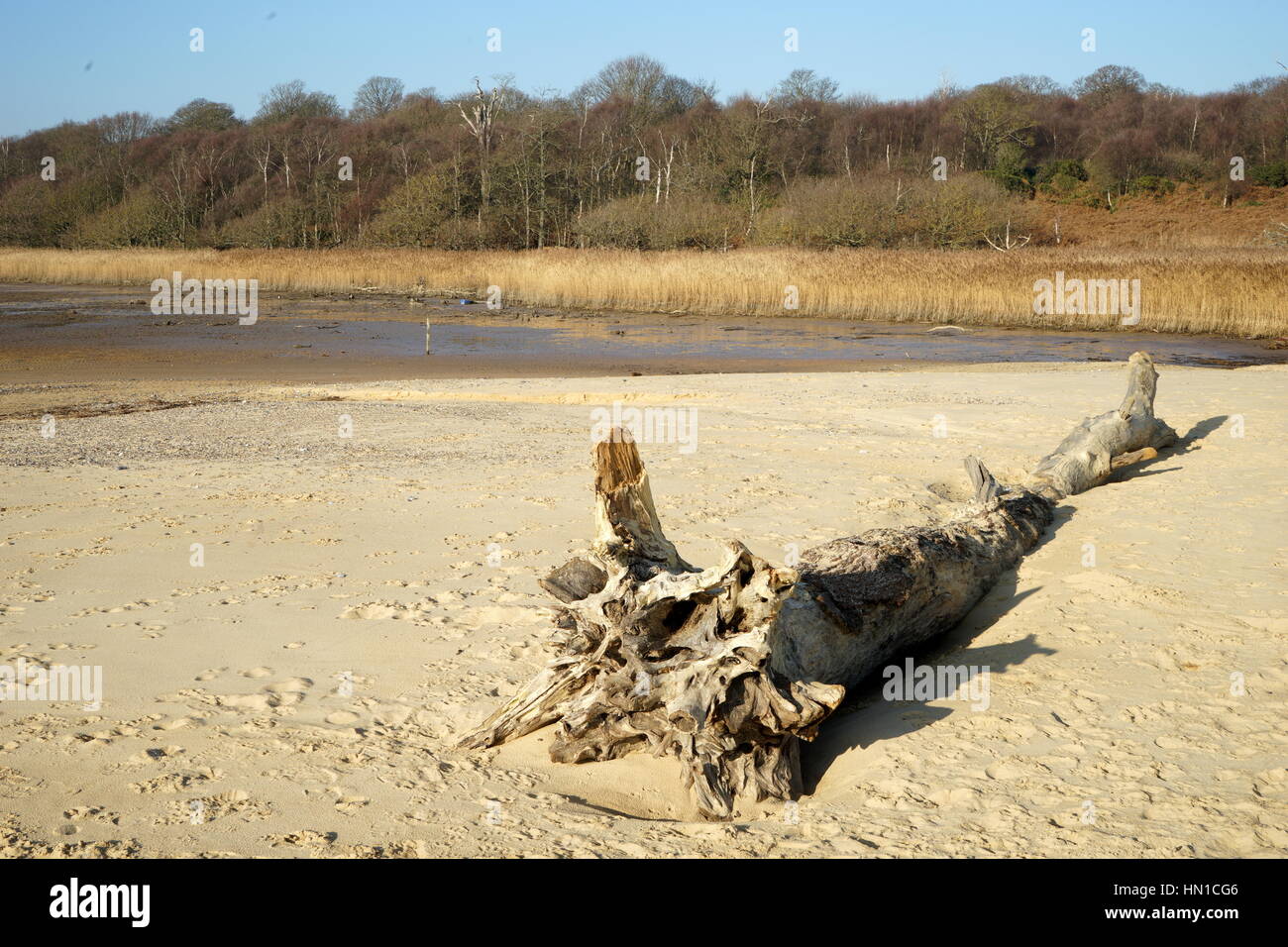 Covehithe, Suffolk an einem sonnigen Wintertag Stockfoto