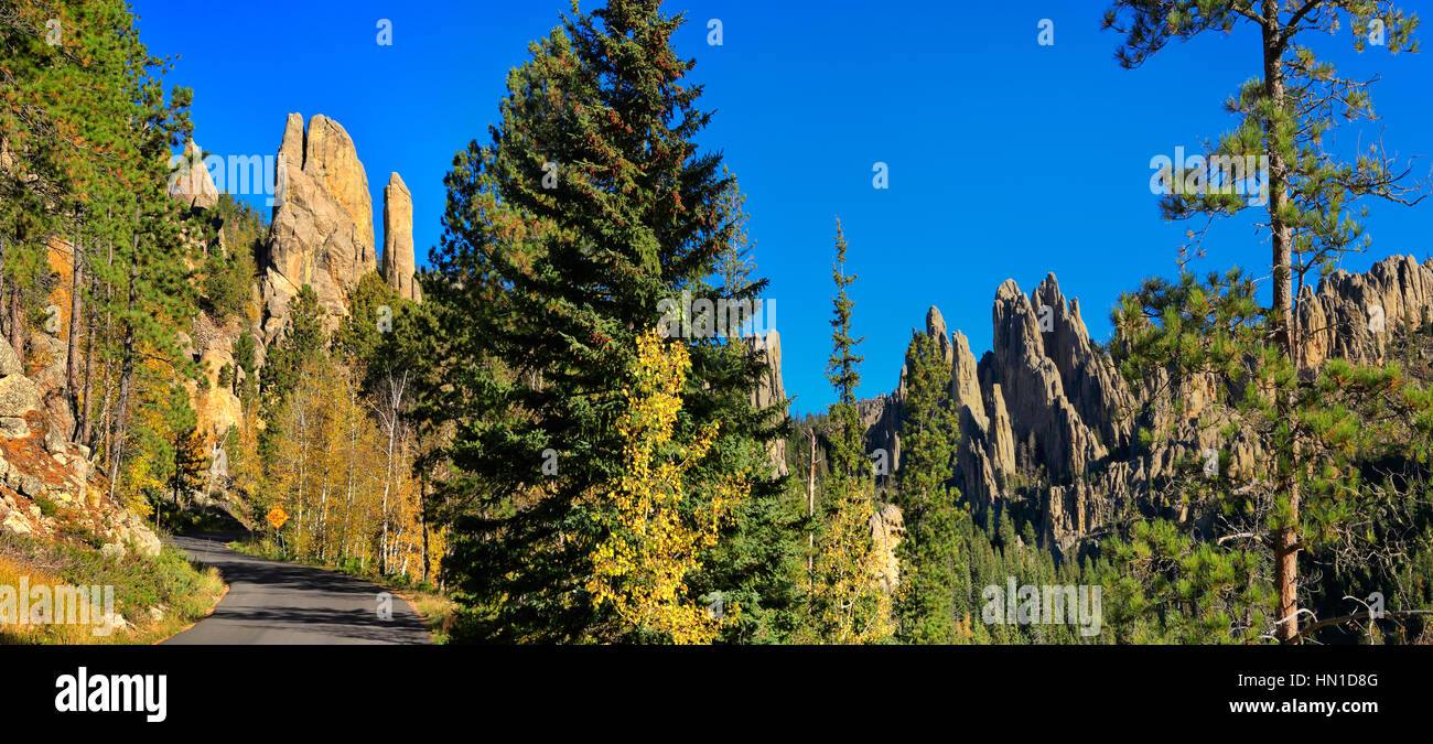 Nadeln, Autobahn, Custer State Park, Black Hills, South Dakota, USA Stockfoto