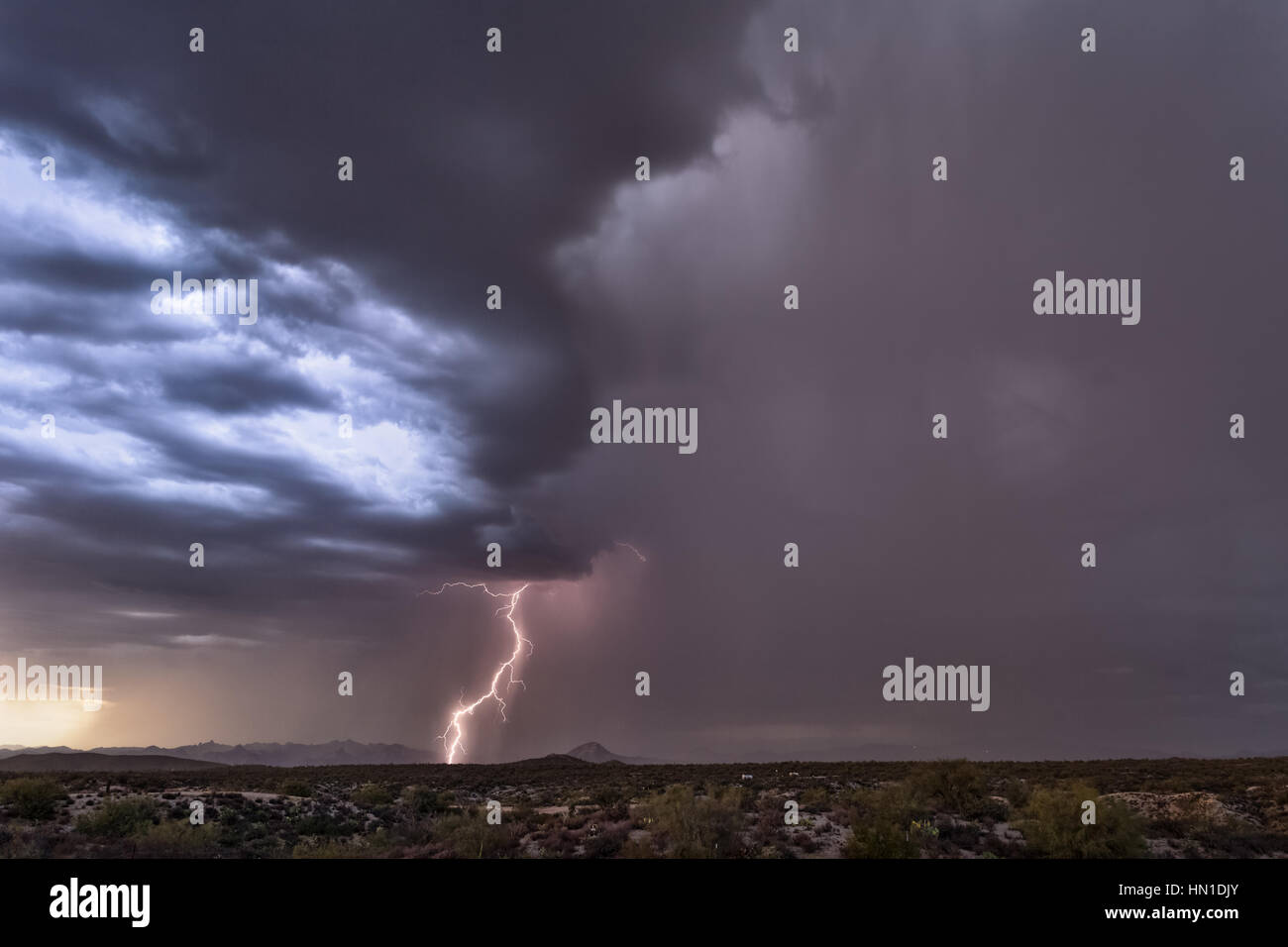 Sommergewitter mit Blitz und Regen in der Wüste von Arizona Stockfoto