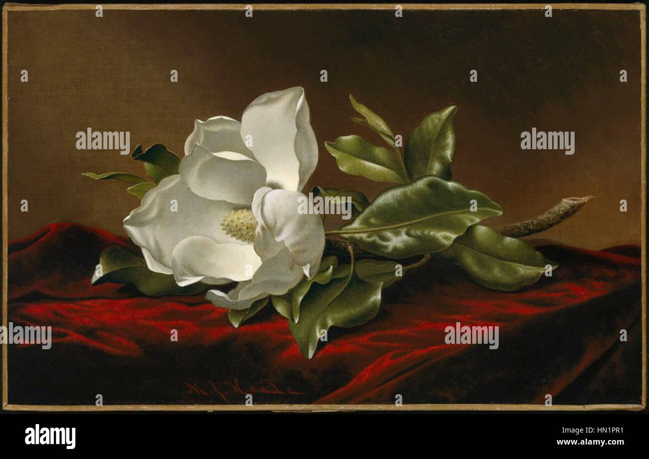 MJ Heade Magnolia Grandiflora 1885-1895 Stockfoto