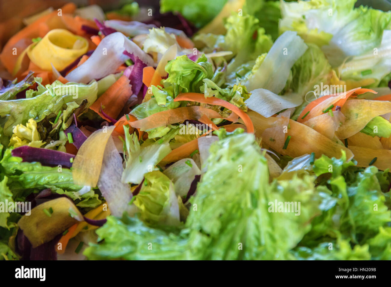 frischer gemischter Salat Stockfoto