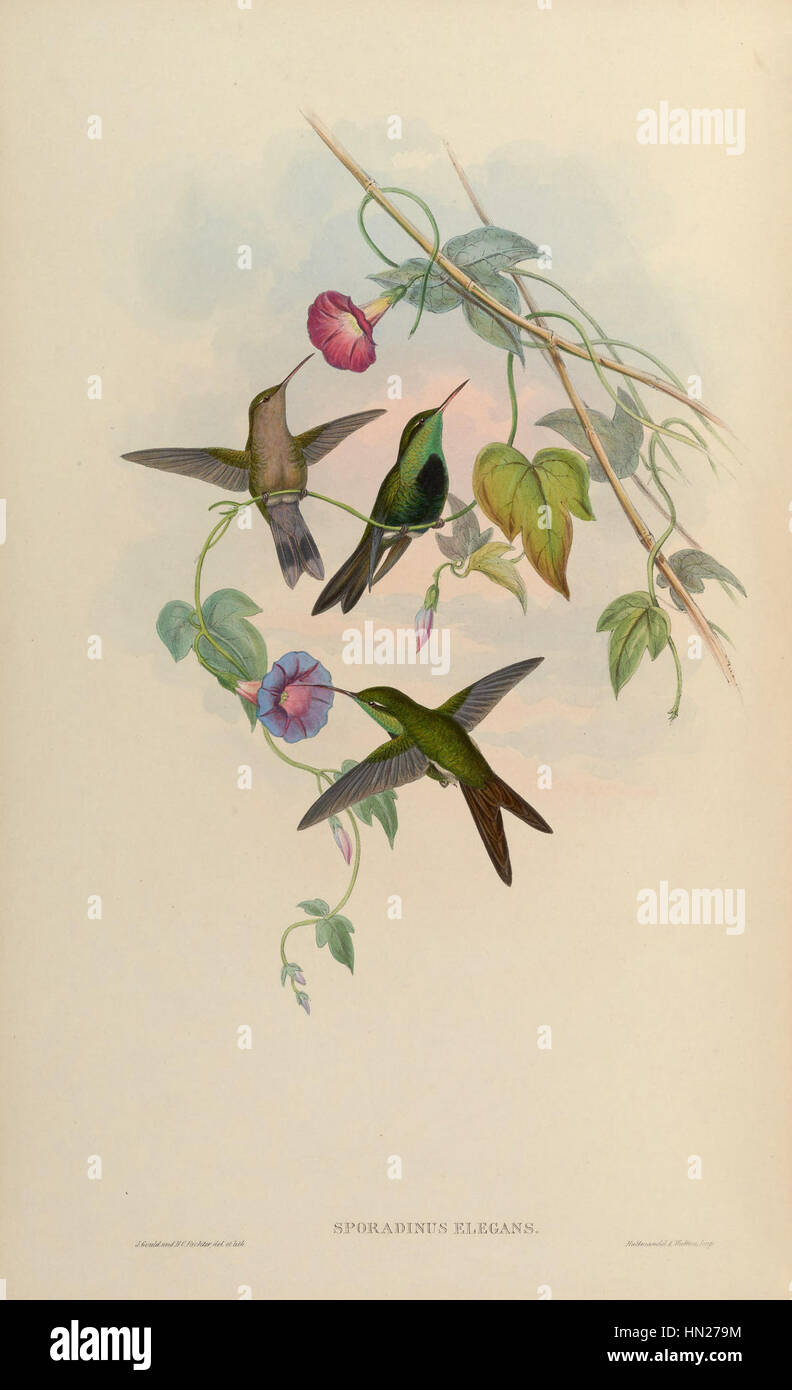 „MonographTrochi5Goul 02“ bezieht sich auf einen bestimmten Band oder eine Ausgabe in einer Monographieserie, die wahrscheinlich einen Künstler, ein Thema oder eine Periode der Kunstgeschichte behandelt. Der Verweis auf „Goul“ deutet auf einen besonderen Schwerpunkt oder eine Reihe im Zusammenhang mit historischer oder künstlerischer Forschung hin. Stockfoto