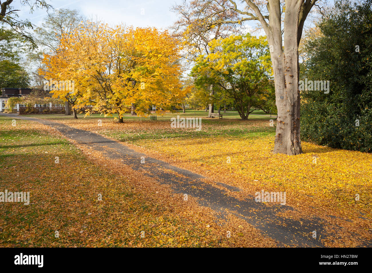 Herbst in Kew Gardens, London. Stockfoto