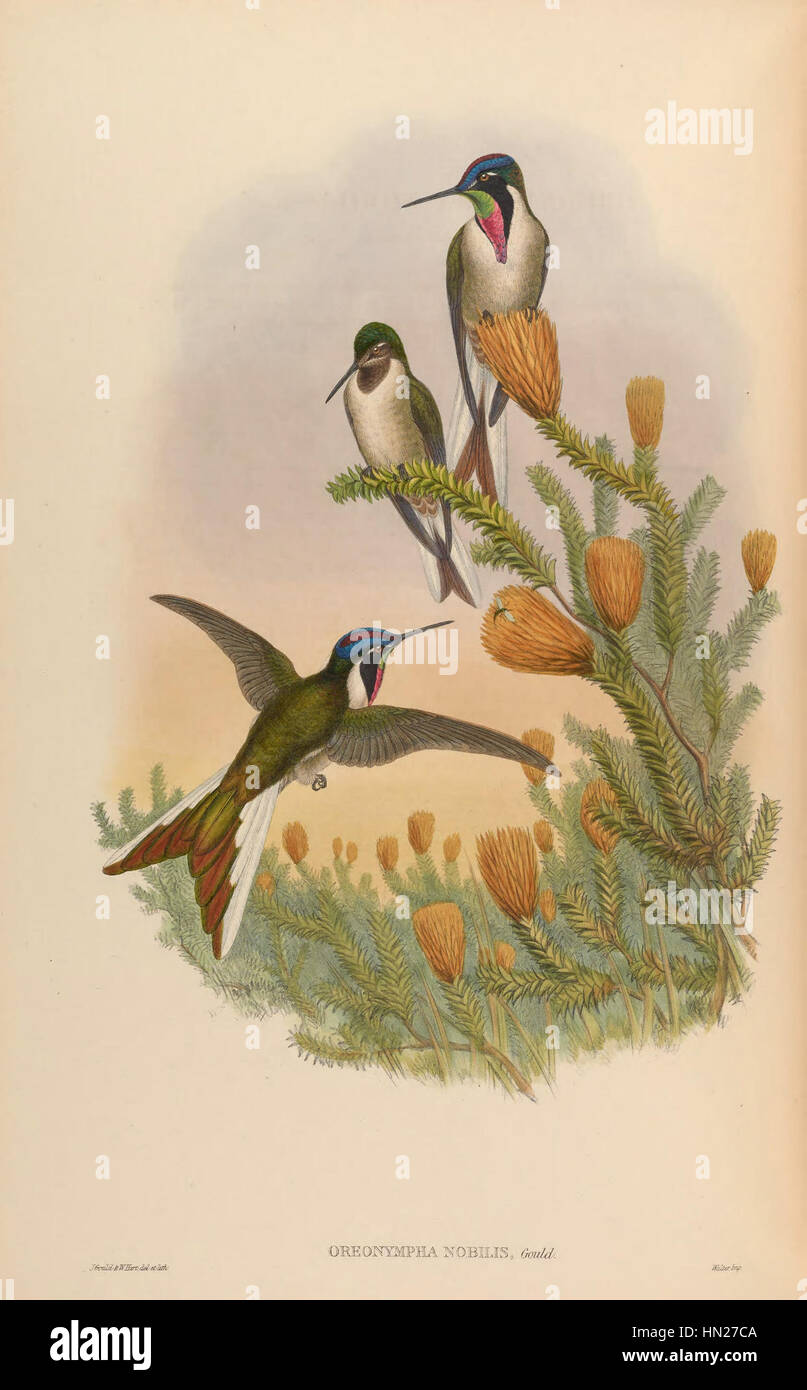 Die Monografie Trochi Supplement Goul 0216 scheint ein wissenschaftliches Werk oder eine Sammlung zu sein, die sich auf den Künstler Trochi bezieht. Dieser Text oder Beilage untersucht Trochis Beiträge zur Kunstwelt, insbesondere im Kontext seines Stils, seiner Technik und seiner Einflüsse. Das Werk kann Analysen seiner Kunstwerke und ihrer Bedeutung für die Kunstgeschichte enthalten. Stockfoto