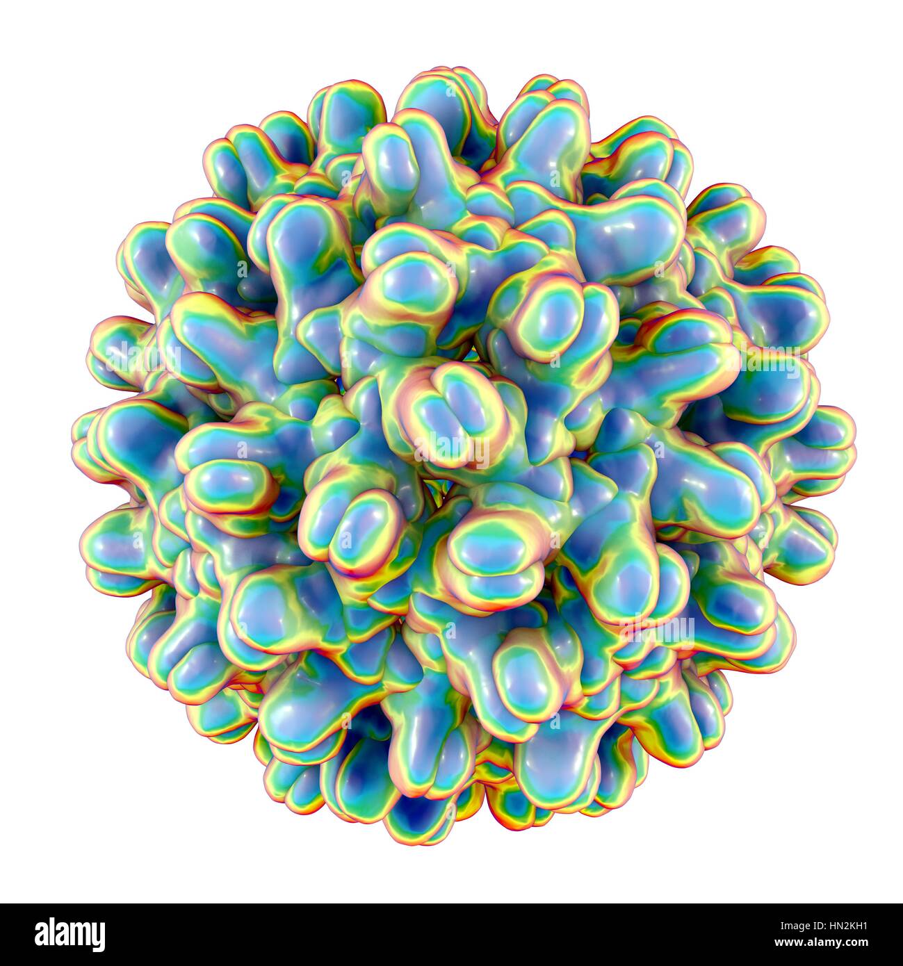 Hepatitis B-Virus-Partikel. Computer Illustration das Kapsid des Hepatitis B-Virus (HBV), mit Proteinen, die durch farbige Blobs dargestellt. Das Kapsid ist ein Protein-Mantel, der das Virusgenom DNA (Desoxyribonukleinsäure) umschließt. HBV verursacht Hepatitis B, eine Krankheit gekennzeichnet durch eine Entzündung der Leber, was zu einer Leberzirrhose, Krebs und Tod führen kann. Stockfoto