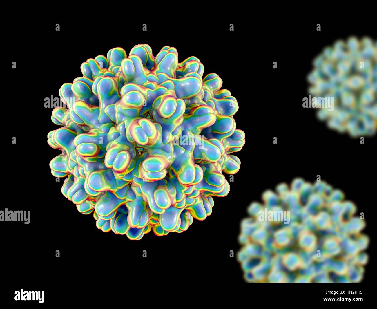 Hepatitis B-Virus-Partikel. Computer Illustration das Kapsid des Hepatitis B-Virus (HBV), mit Proteinen, die durch farbige Blobs dargestellt. Das Kapsid ist ein Protein-Mantel, der das Virusgenom DNA (Desoxyribonukleinsäure) umschließt. HBV verursacht Hepatitis B, eine Krankheit gekennzeichnet durch eine Entzündung der Leber, was zu einer Leberzirrhose, Krebs und Tod führen kann. Stockfoto
