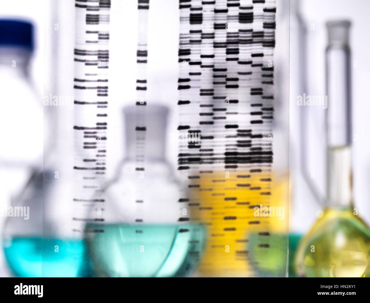 DNA (Desoxyribonukleinsäure) Autoradiogram vor Glaswaren in einem Labor. Stockfoto
