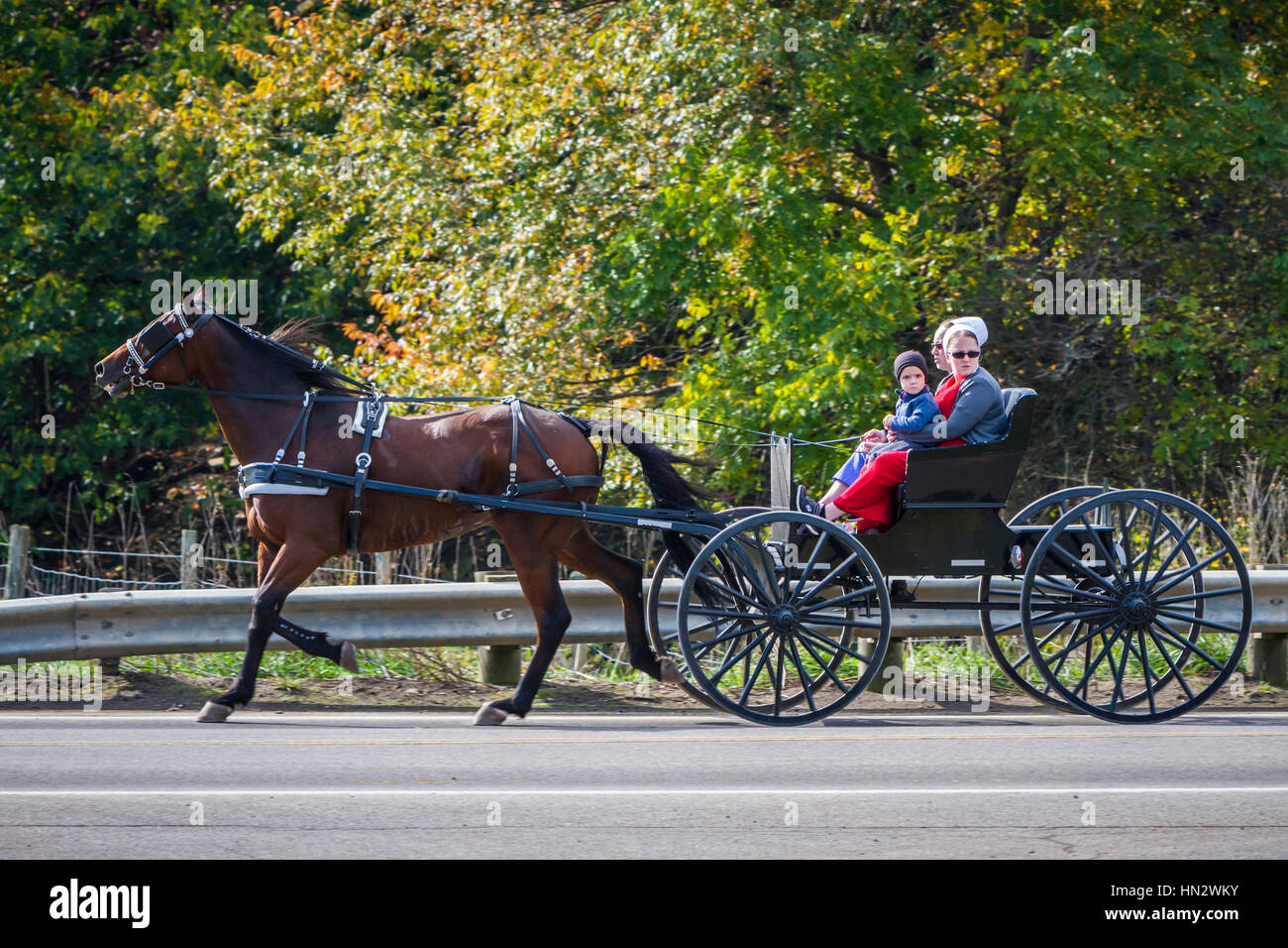 Amische Pferd und Buggy auf dem Lande in der Nähe von Charme, Ohio, USA. Stockfoto