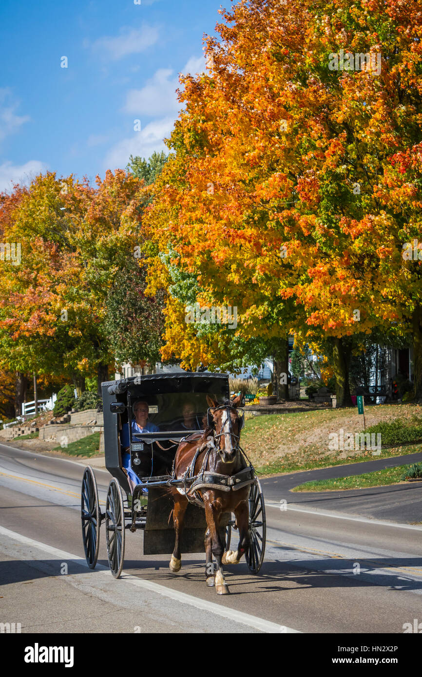 Amische Pferd und Buggy auf dem Lande in der Nähe von Charme, Ohio, USA. Stockfoto