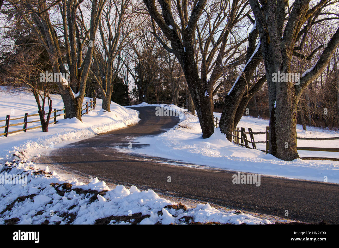 Eine Straße führt zu Asche Rasen-Hochland, Heimat von Präsident James Monroe, befindet sich in der Albemarle Grafschaft, Virginia. Stockfoto