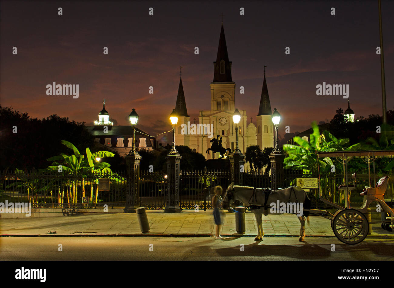 St. Louis Cathedral und Jackson Square in New Orleans in der Nacht mit Pferd und Kutsche. Stockfoto