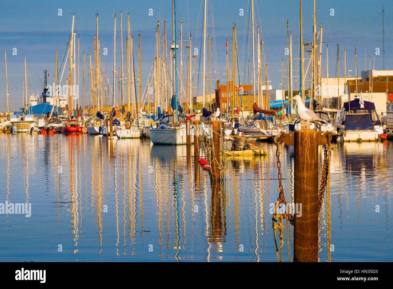 Shoreham durch Meer Yachthafen in der Nähe von Brighton in West Sussex. Stockfoto