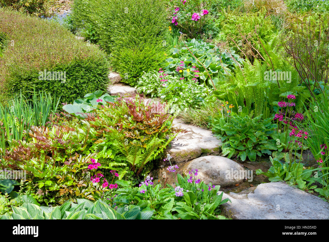 Trittsteine unter grünen Hostas, Farne, bunten Blumen, Sträucher, in einem Sommer-englischen Cottage-Garten Stockfoto