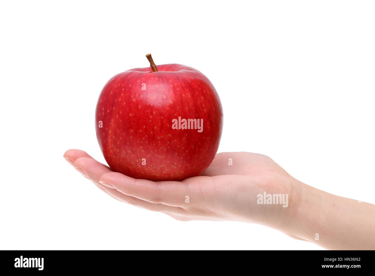 Roter Apfel auf der Hand, isoliert auf weißem Hintergrund Stockfoto