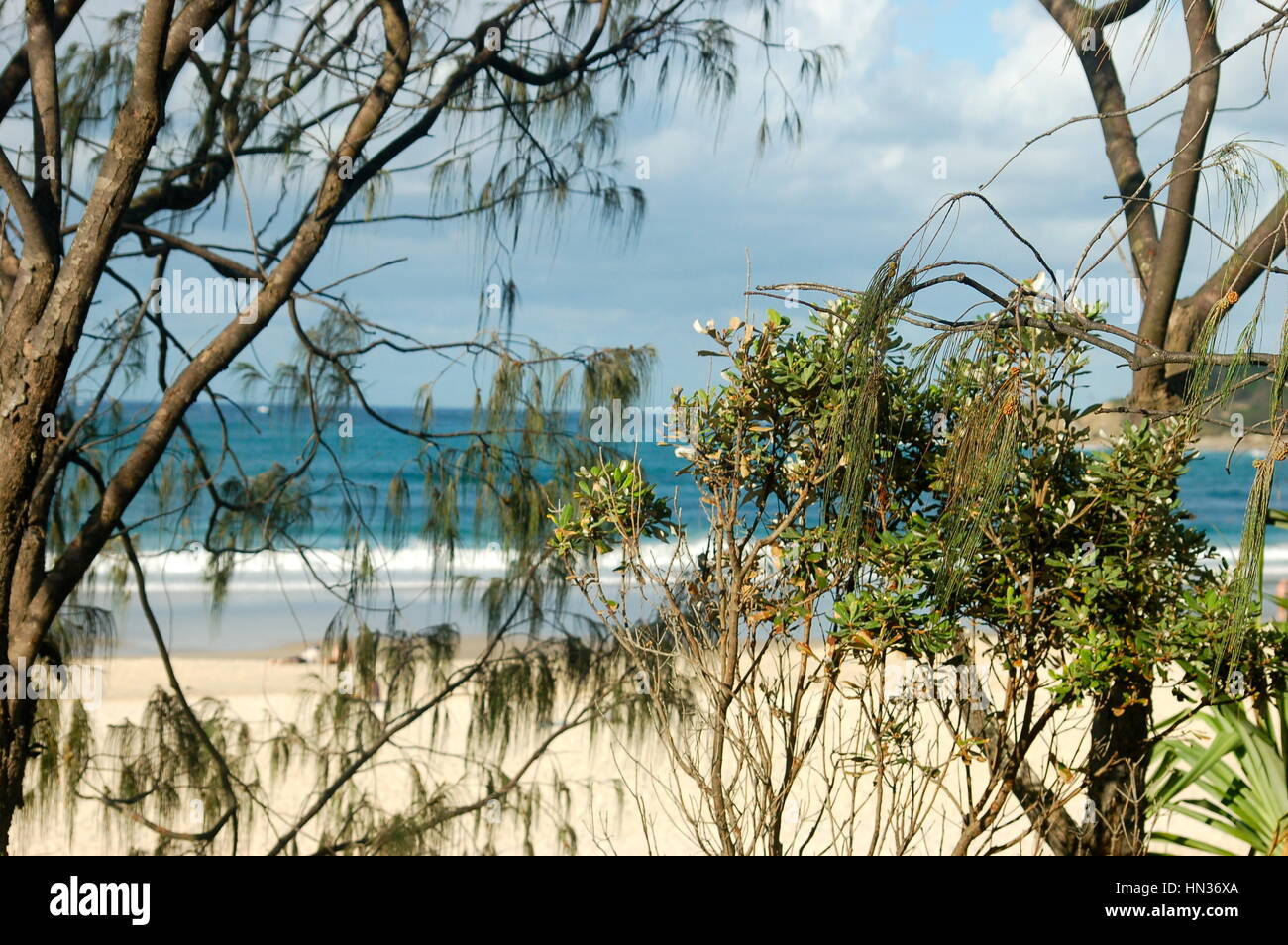 Morgen Aussicht, Byron Bay, New South Wale, NSW, Australien Stockfoto