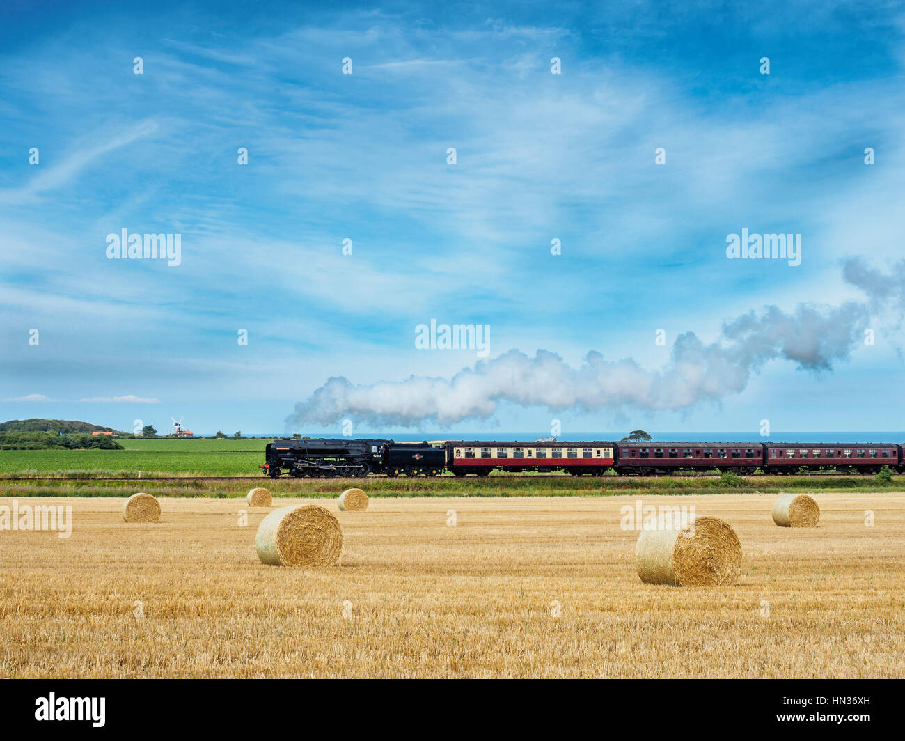 Mohn-Line-Dampf-Zug durch Felder. Stockfoto
