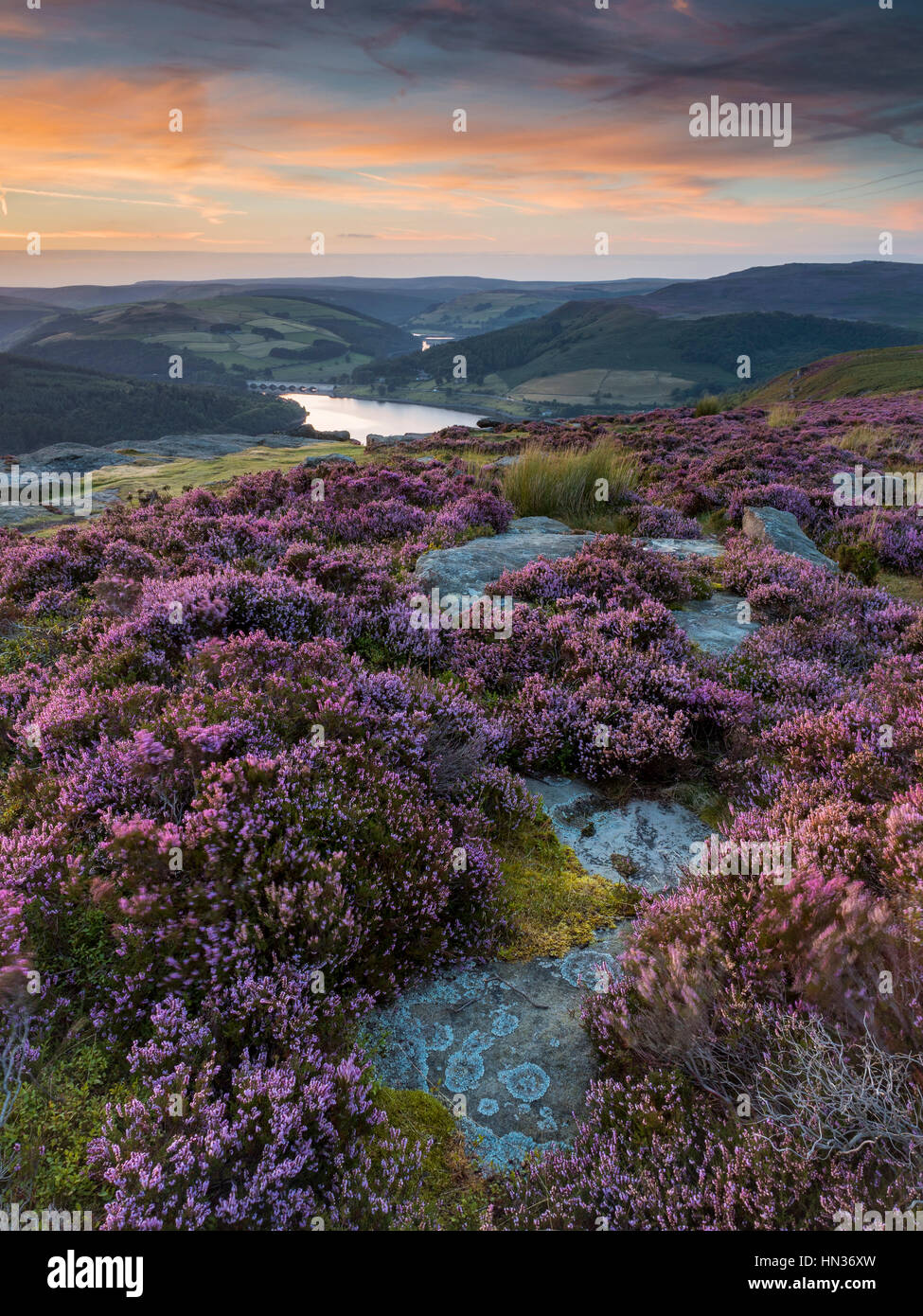 Sonnenuntergang über das Heidekraut Bamford hochkant mit Blick auf Ladybower. Stockfoto