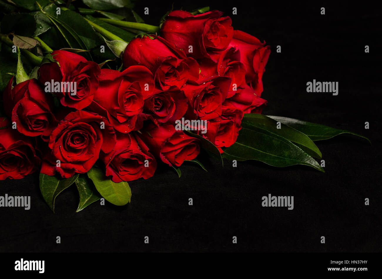 Einen wunderschönen Strauß roter Rosen auf schwarzem Hintergrund mit textfreiraum oder Platz für Text. Stockfoto