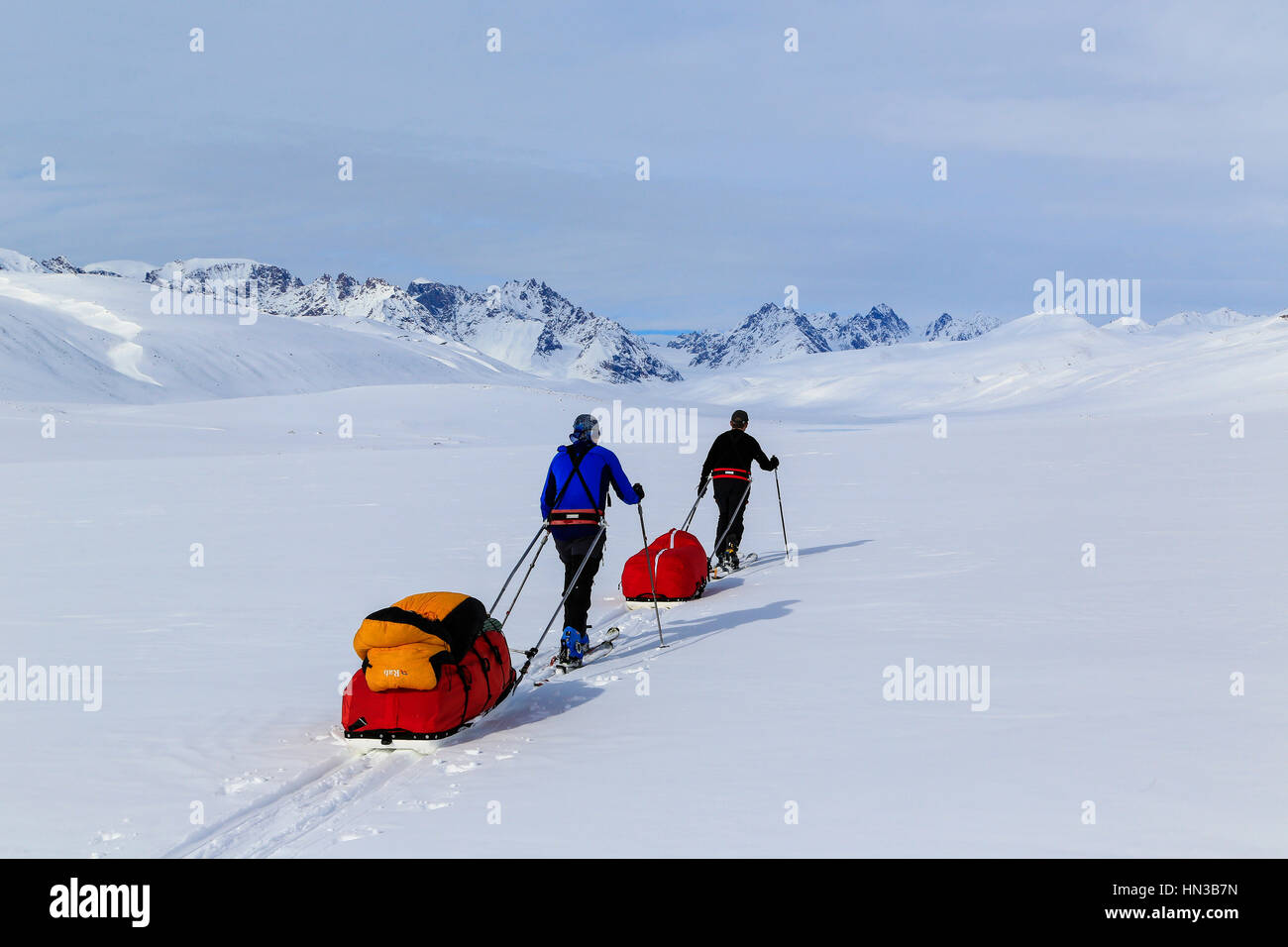 Bergsteigerteam ziehen der Pulk Schlitten auf dem Weg nach Stauning Alpen Stockfoto