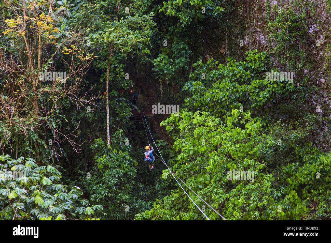 Eine junge Frau reitet auf eine Seilrutsche durch einen Wald In Puerto Rico Stockfoto