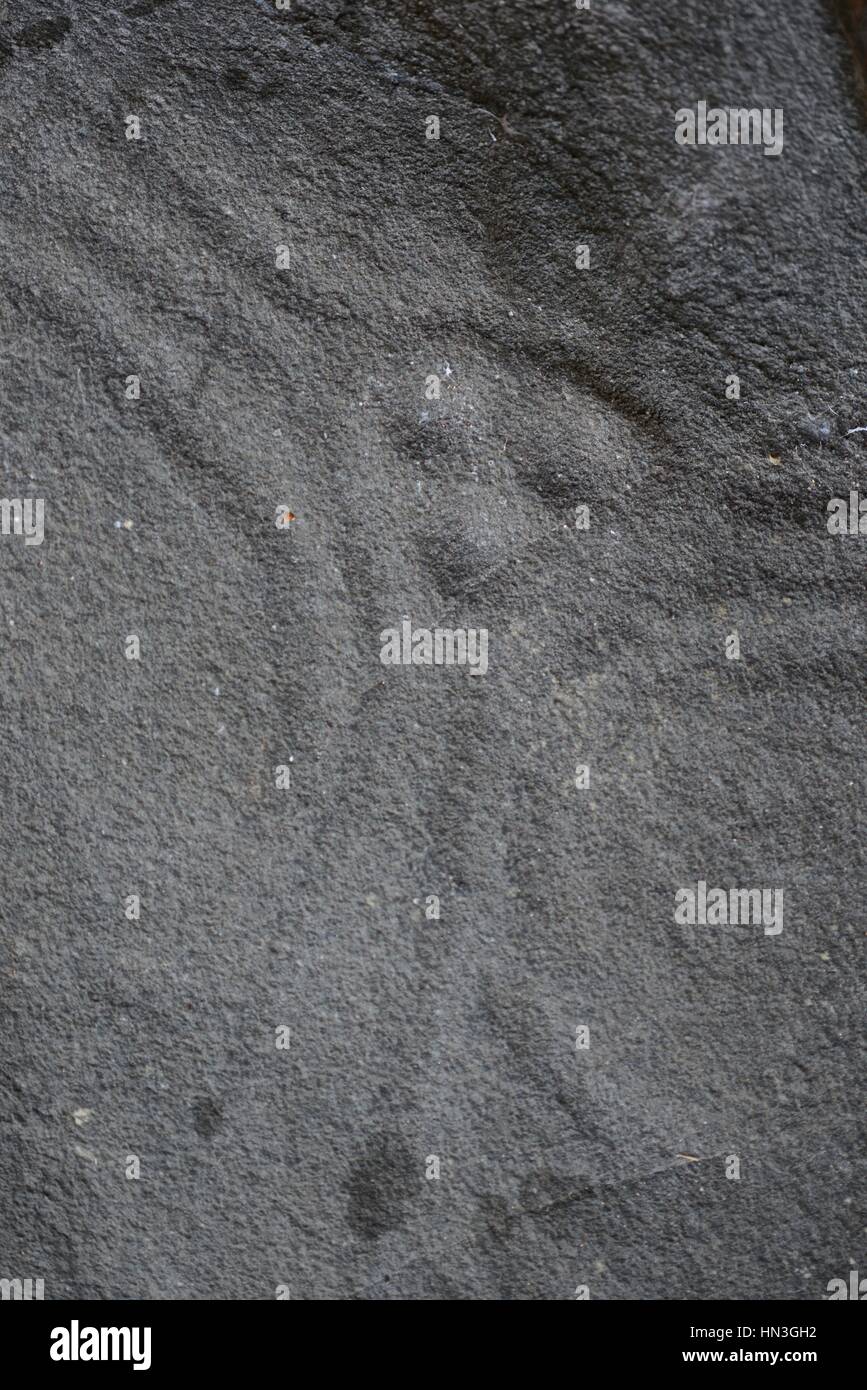 Erhöhte Ansicht von Petroglyphen auf der Insel Gorgona. Stockfoto