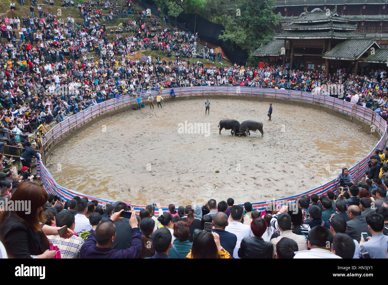Publikum beobachten Stierkampf in der Arena feiern Lunar 3 März singen Festival, Sanjiang, Provinz Guangxi, China Stockfoto
