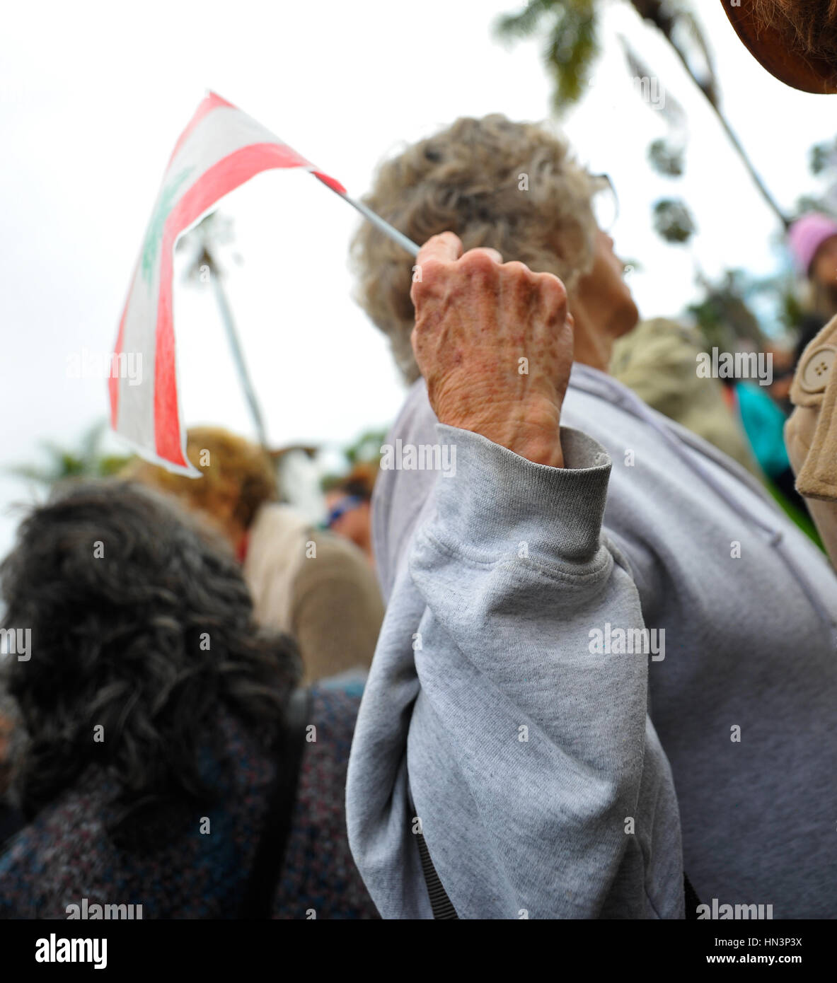 Ein Demonstrator mit einer Fahne an einer muslimischen Reiseverbot Anti-Rallye in Santa Barbara, CA Stockfoto