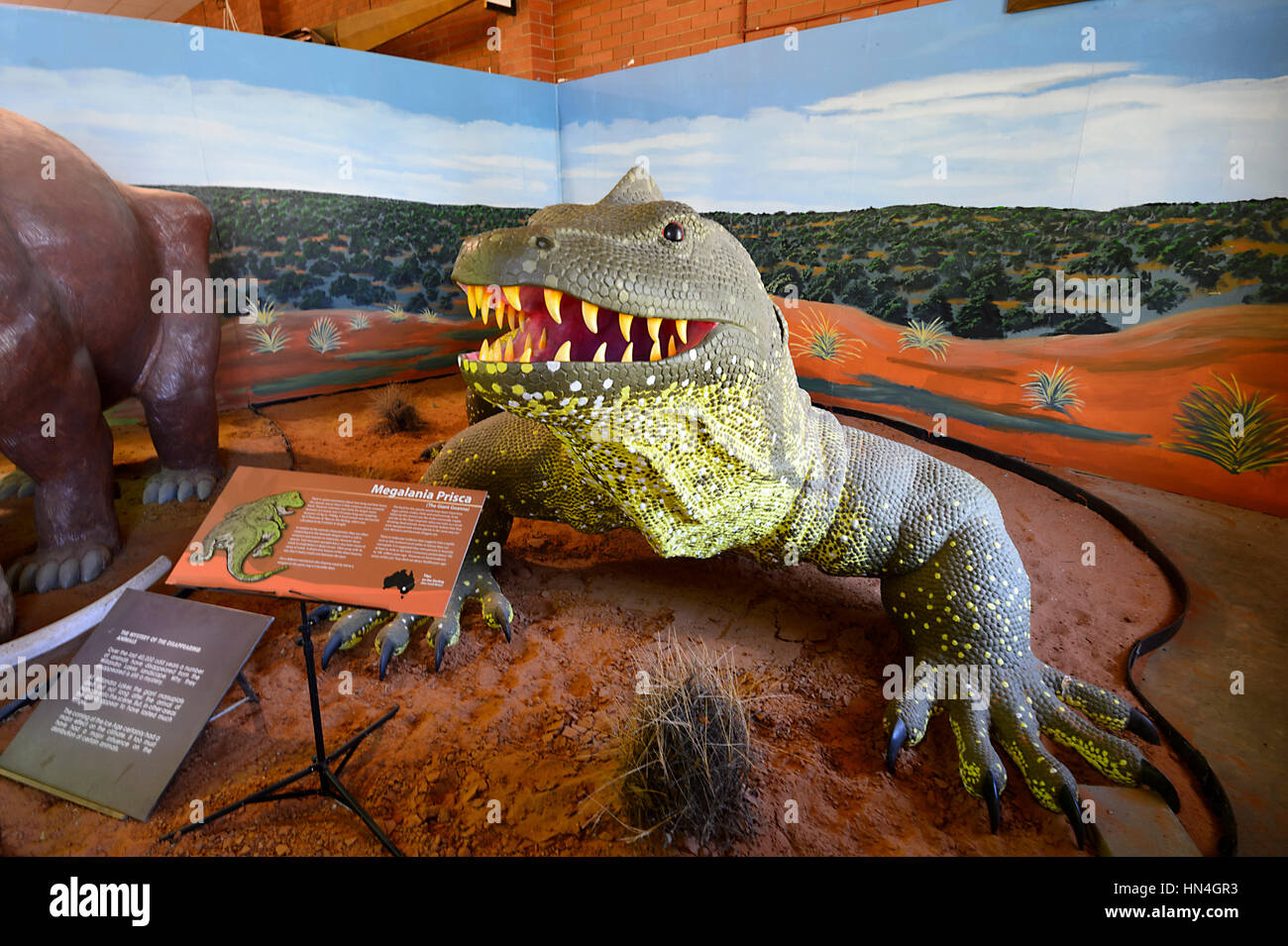 Riesige Goanna (Megalania Prisca), Pioneers Museum, Wentworth, New South Wales, Australien Stockfoto
