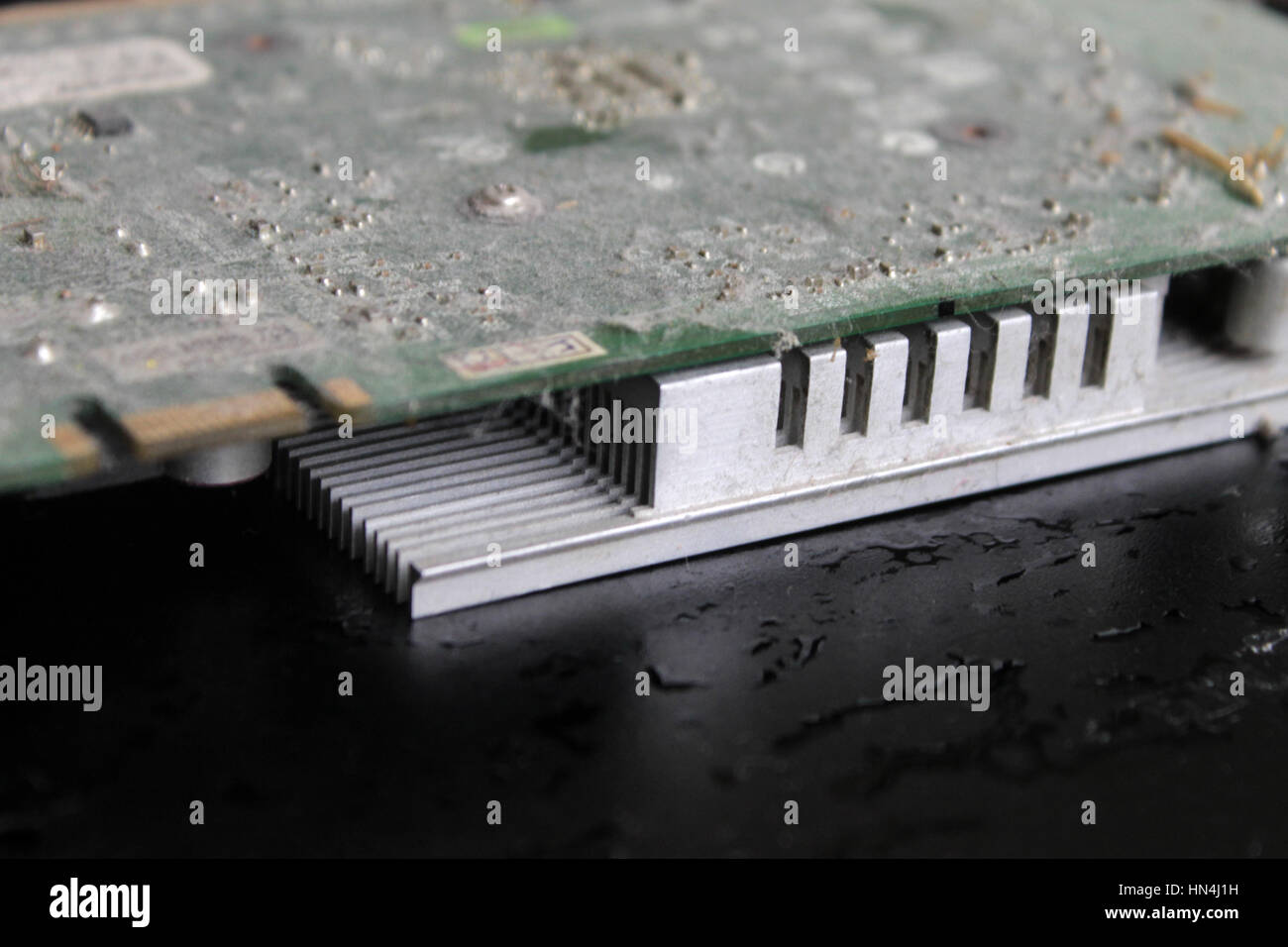 Chip, Computergrafik in den Staub auf dem schwarzen Hintergrund für Design, Nahaufnahme Stockfoto