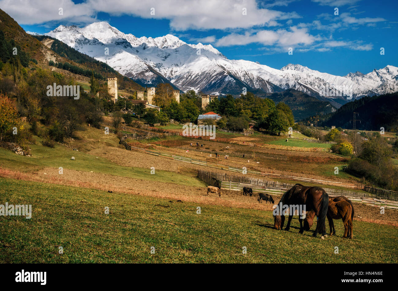 Pferde grasen auf der Weide gegen Svan Türme in Mestia Dorf und Berge mit schneebedeckten Gipfel. Samegrelo-Zemo obere Swanetien, Georgia. Stockfoto