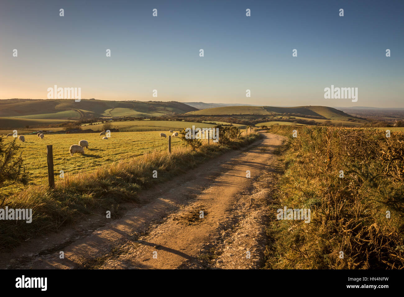 South Downs Way Wanderweg Richtung Westen zur Pyecombe von Ditchling Beacon auf einem sonnigen Herbstnachmittag. Stockfoto