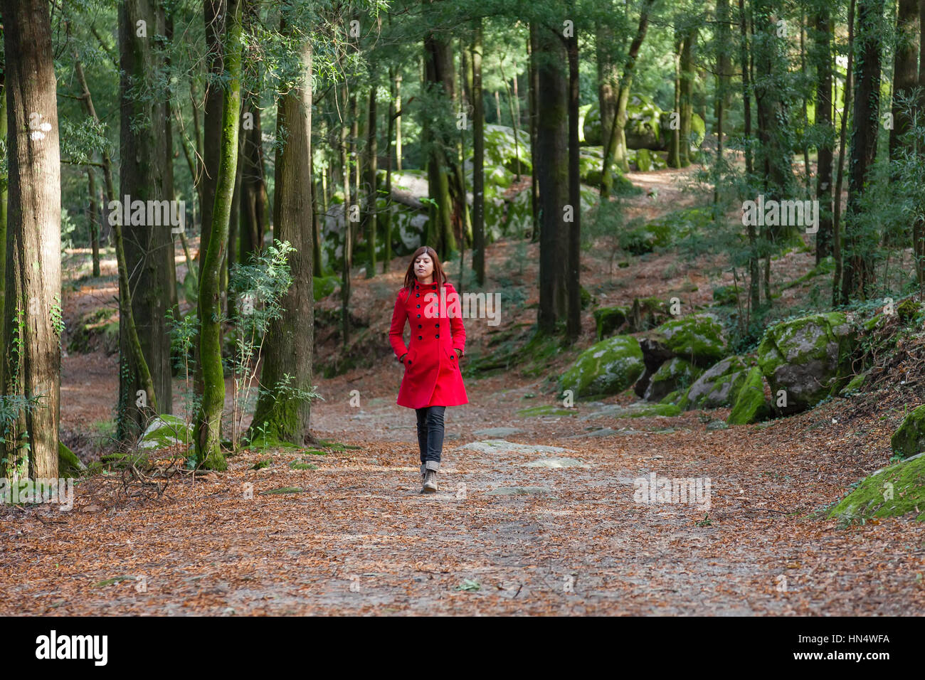 Junge Frau, die allein auf einem Waldweg läuft und an einem kalten Wintertag einen roten Mantel trägt/Frau, die allein geht einsamer Waldwald, roter Mantel Stockfoto