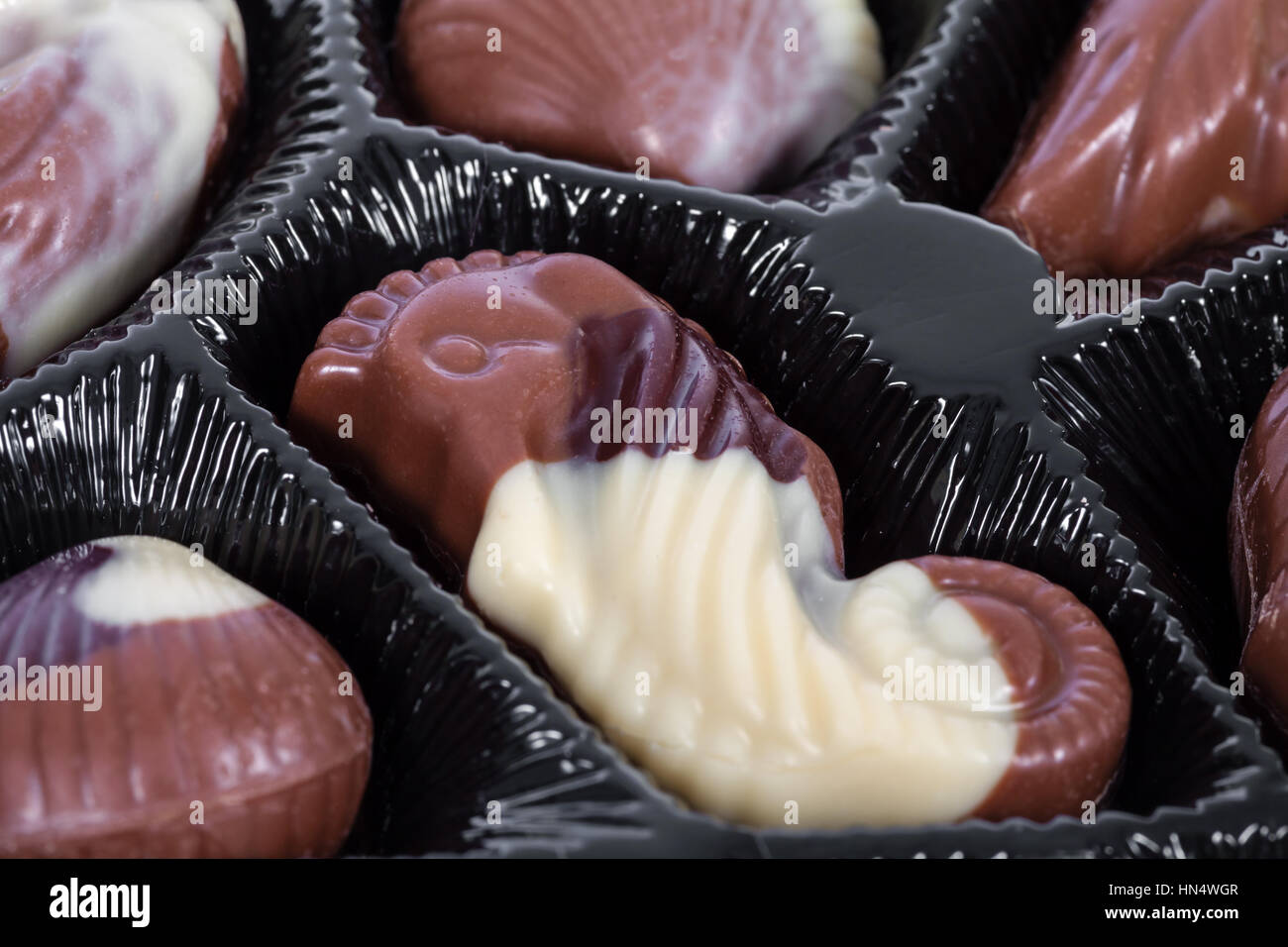 Tablett mit belgischen Pralinen geformt wie Muscheln Stockfoto