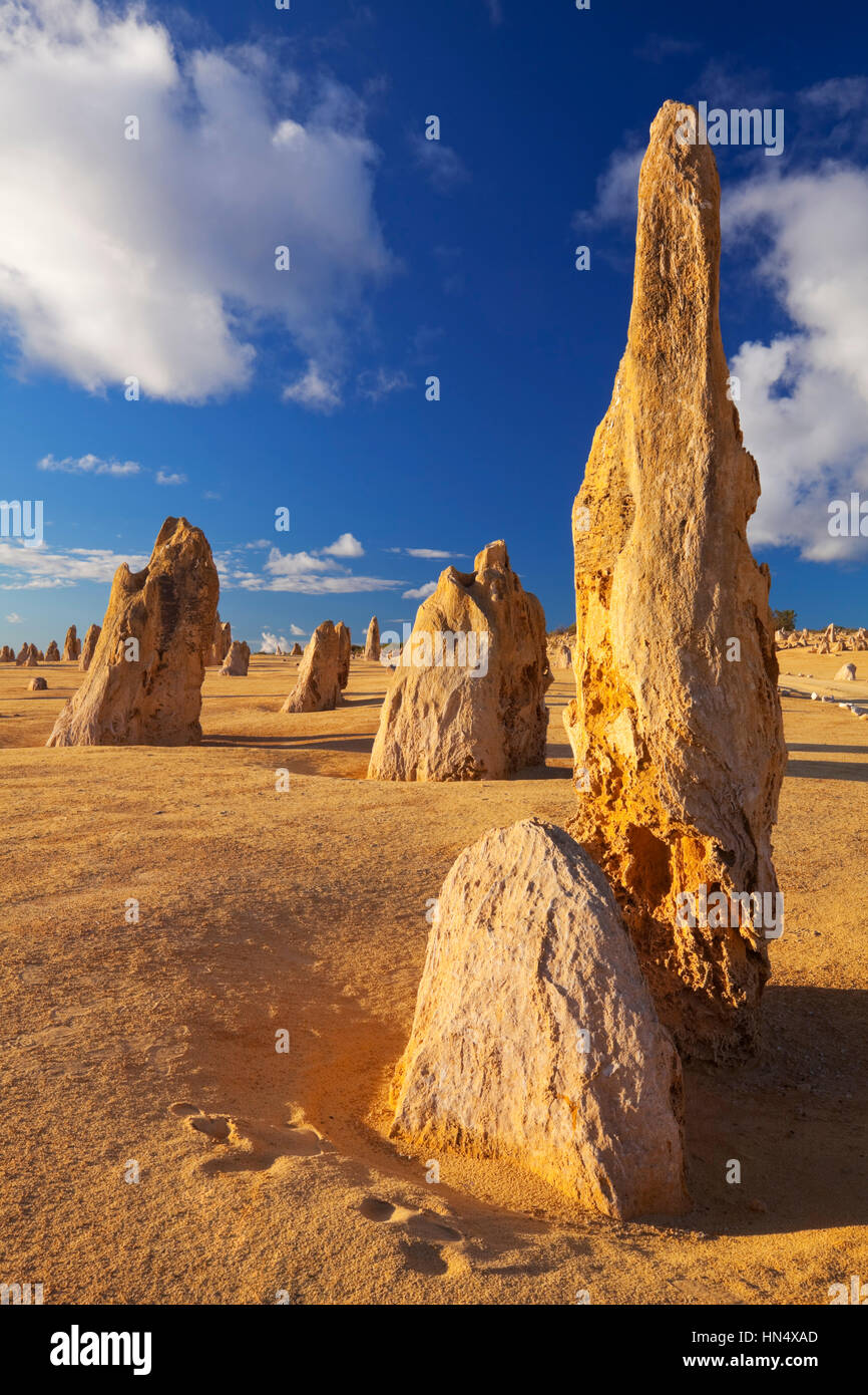 Die Pinnacles Desert im Nambung National Park, Western Australia. Stockfoto
