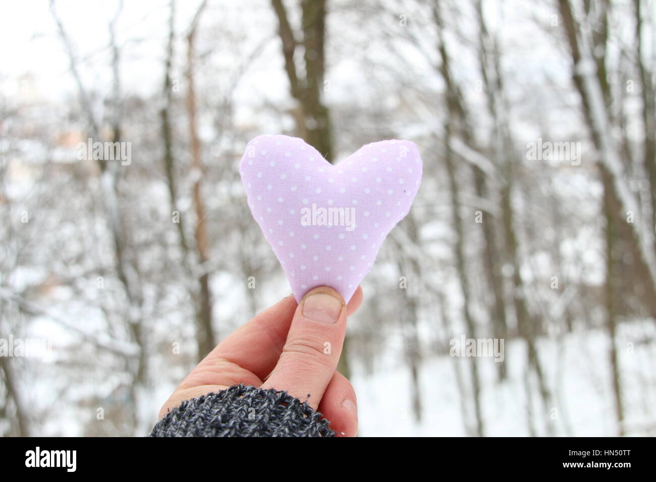Winter, Liebe oder Valentinstag-Konzept. Hand hält ein Herz auf dem Hintergrund des Winterwaldes Stockfoto