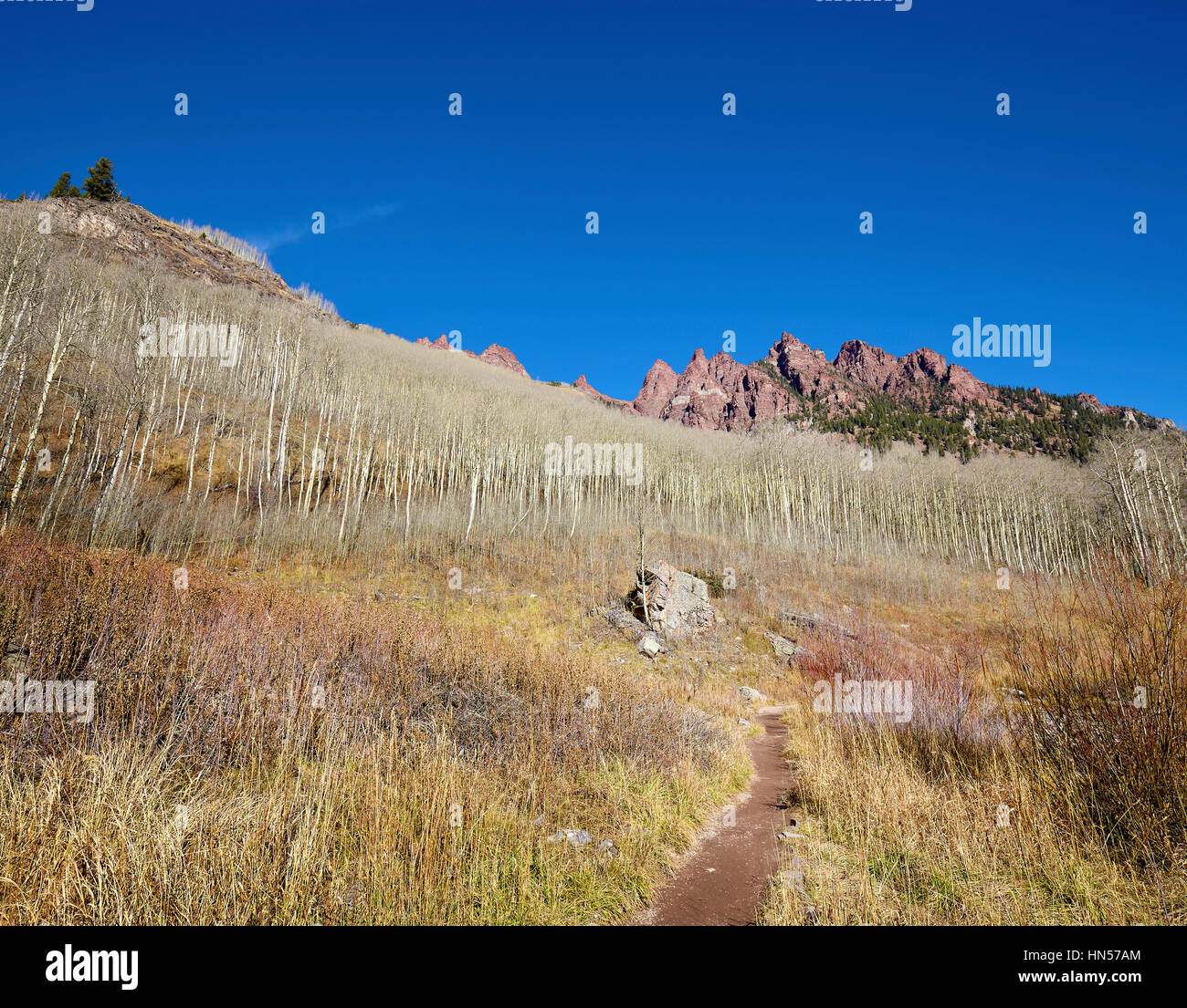 Wanderweg in Maroon Bells Snowmass Wildnis, Colorado, USA. Stockfoto