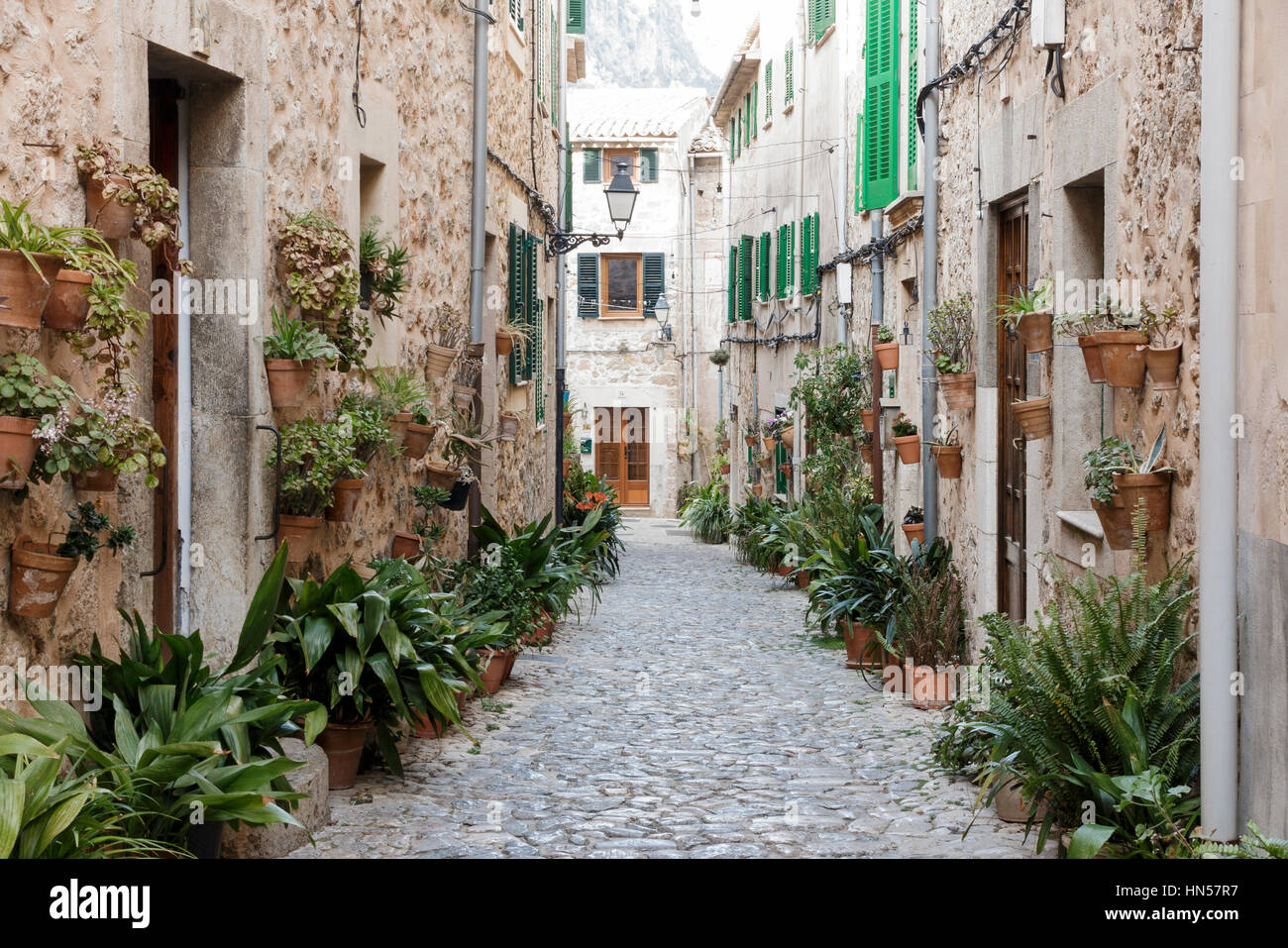 an der Wand befestigte Töpfe von Zimmerpflanzen n Valdemossa, Mallorca, Spanien. Stockfoto