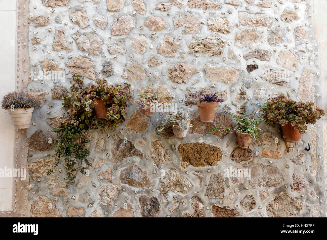 an der Wand befestigte Töpfe von Zimmerpflanzen n Valdemossa, Mallorca, Spanien. Stockfoto
