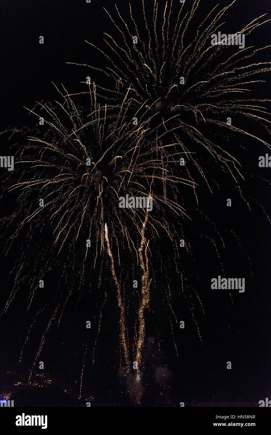 Feuerwerk geformte Palme in den Himmel in der Nacht in Katalonien, Spanien Stockfoto