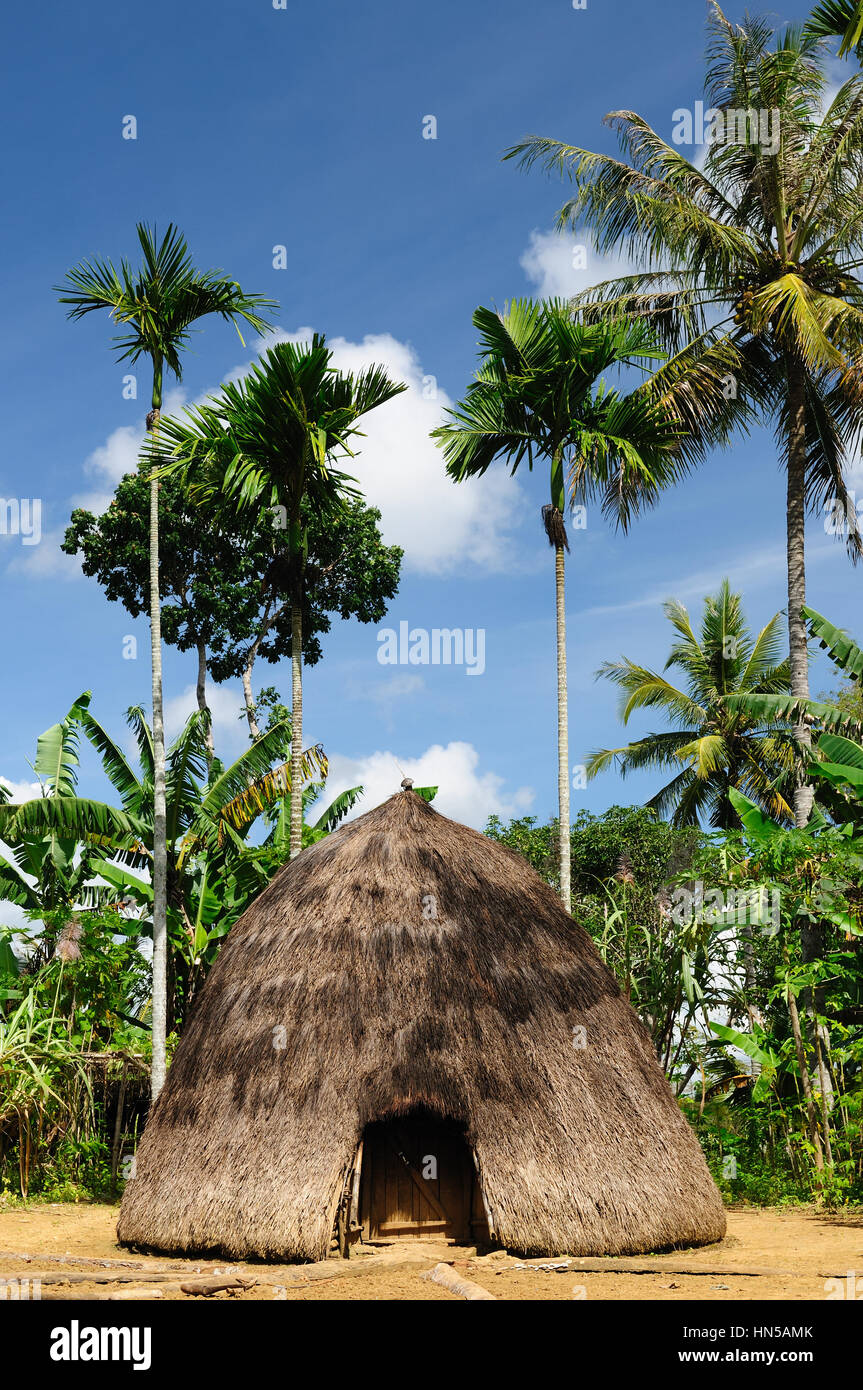 Indonesien das Landseite - Headhunter Minderheit Dorf auf der Insel Timor in der Nähe von Soe. Traditionelle Grashütte.  Nusa Tenggara. Stockfoto