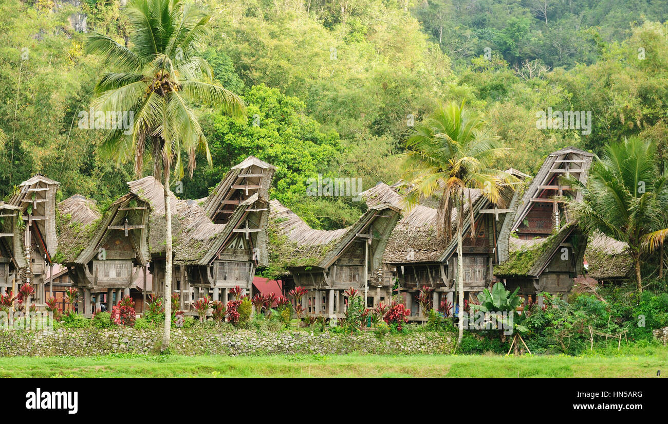Traditionelle fegen und kunstvoll bemalten Häuser mit Boot-förmigen Dächer in Tana Toraja. Tongkonan Haus auf dem Ke'te Kesu-Dorf.  Süd-Sulawesi, Stockfoto