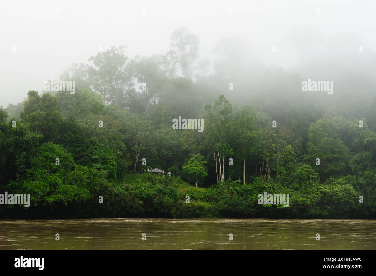 Malerische Aussicht auf den wilden tropischen Dschungel am Fluss Kayan, Ost-Kalimantan, Indonesien-Borneo. Stockfoto