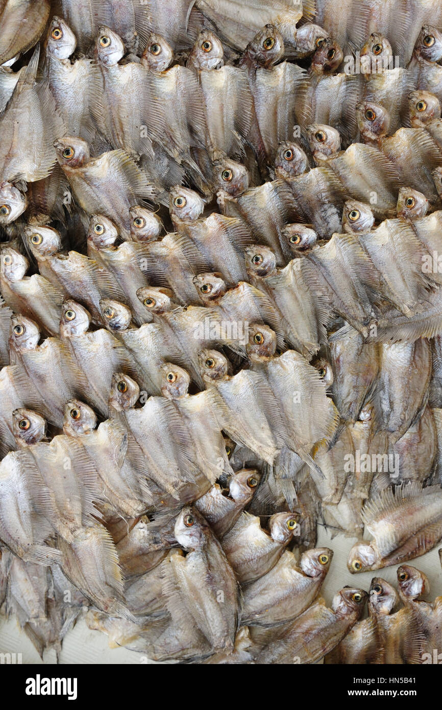 Foto vom traditionellen exotischen Stammes-Markt (Pasar) in Indonesien auf der Insel Kalimantan, getrockneten Fisch, Indonesien, Borneo Stockfoto