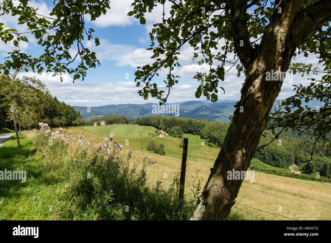 Le Petit Haut in der Nähe von Sainte-Marie-Aux-Mines, Elsass, Frankreich Stockfoto