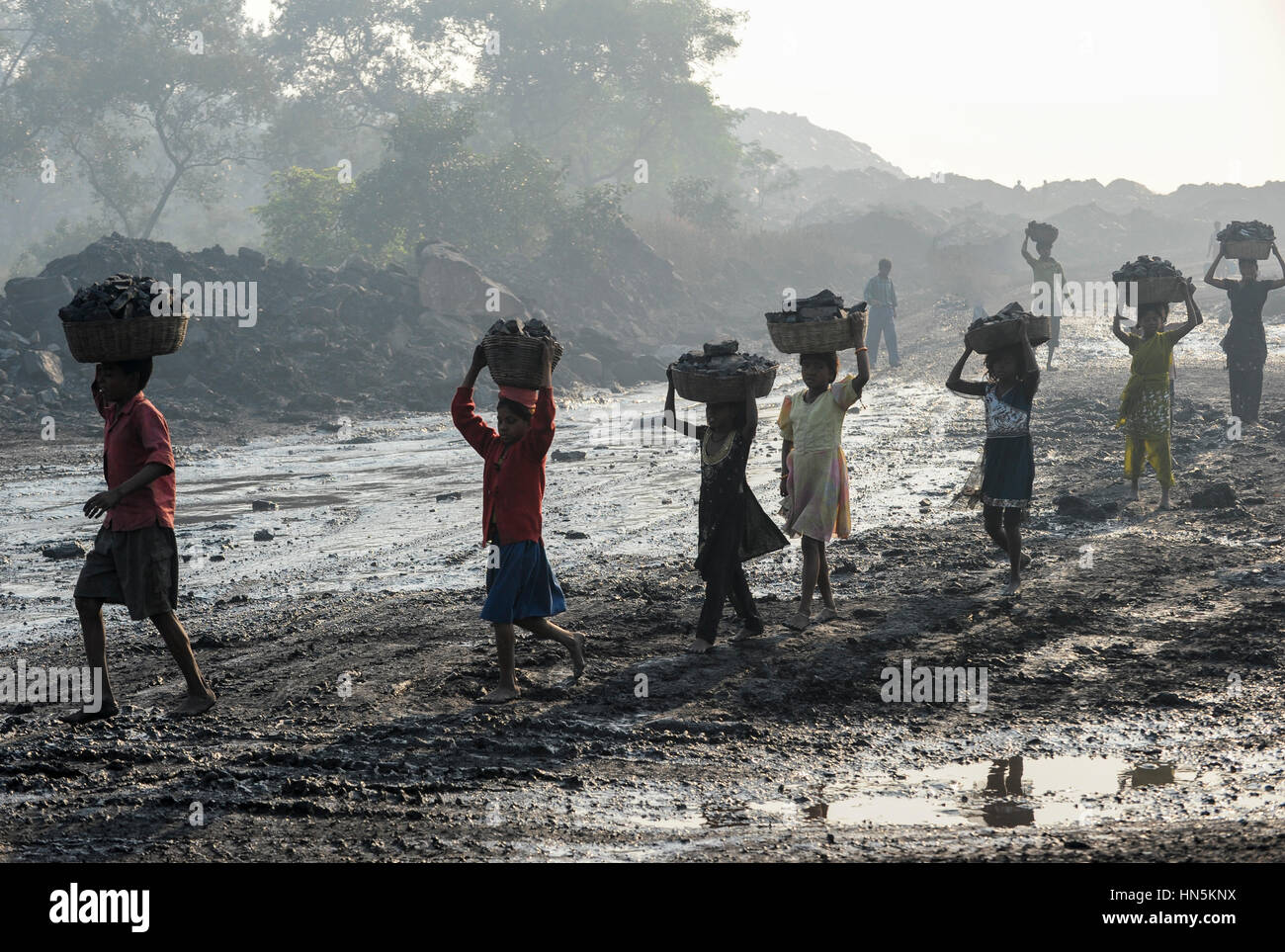 Indien Jharkhand Suzii Jharia Kinder sammeln Kohle bleibt von dumping Site of COAL INDIA als Kokskohle auf dem Markt für den Lebensunterhalt ihrer Familie zu verkaufen / INDIEN Jharkand Suzii Jharia, Kinder Sammeln Kohle Auf Einer Abraumhalde am Rande Eines Kohletagebaus Zum Verkauf als Koks Auf Dem Markt Stockfoto