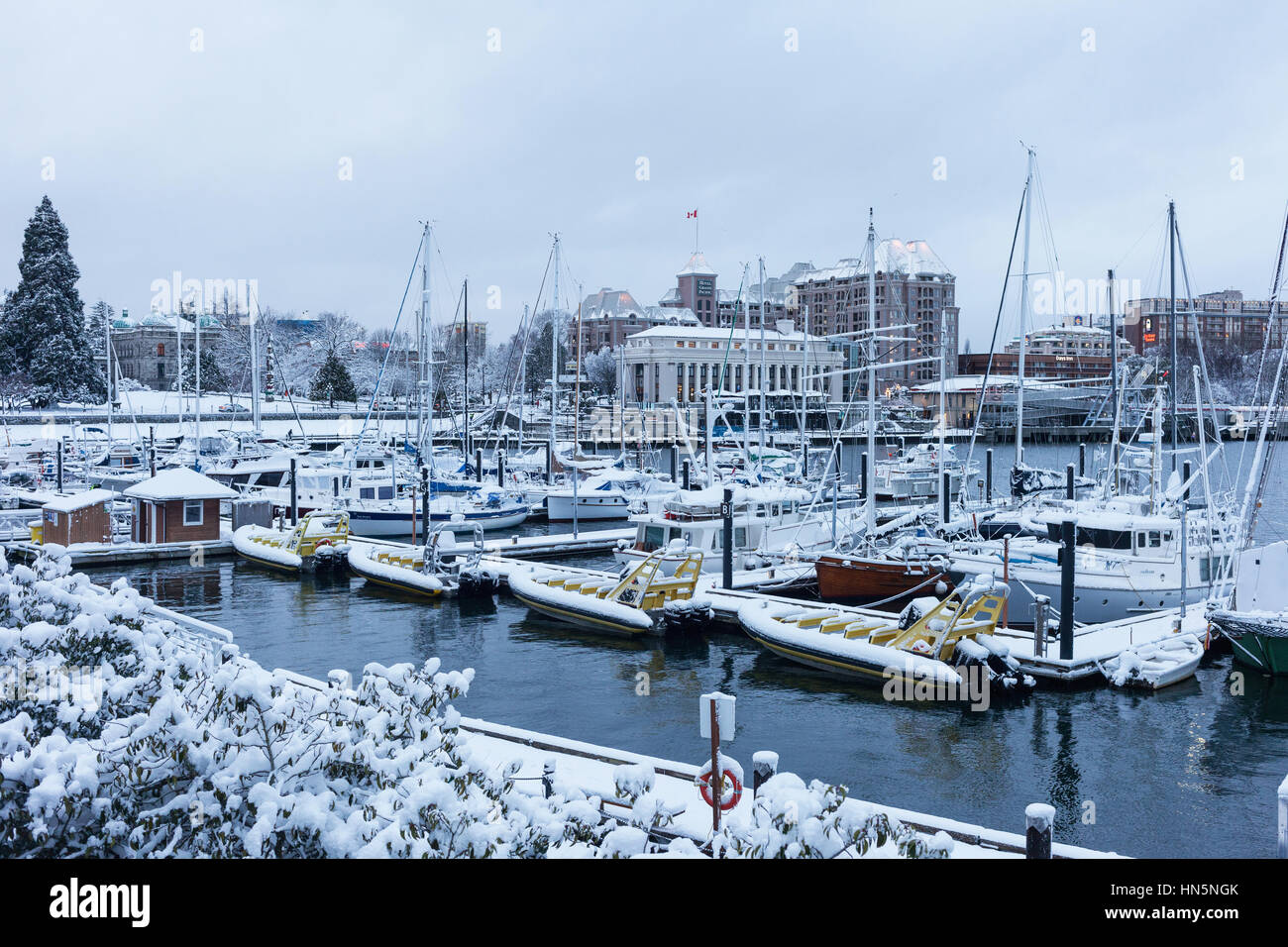 Seltene Winter Schneesturm 2017 und der Innenstadt von Victoria, BC, Kanada Stockfoto