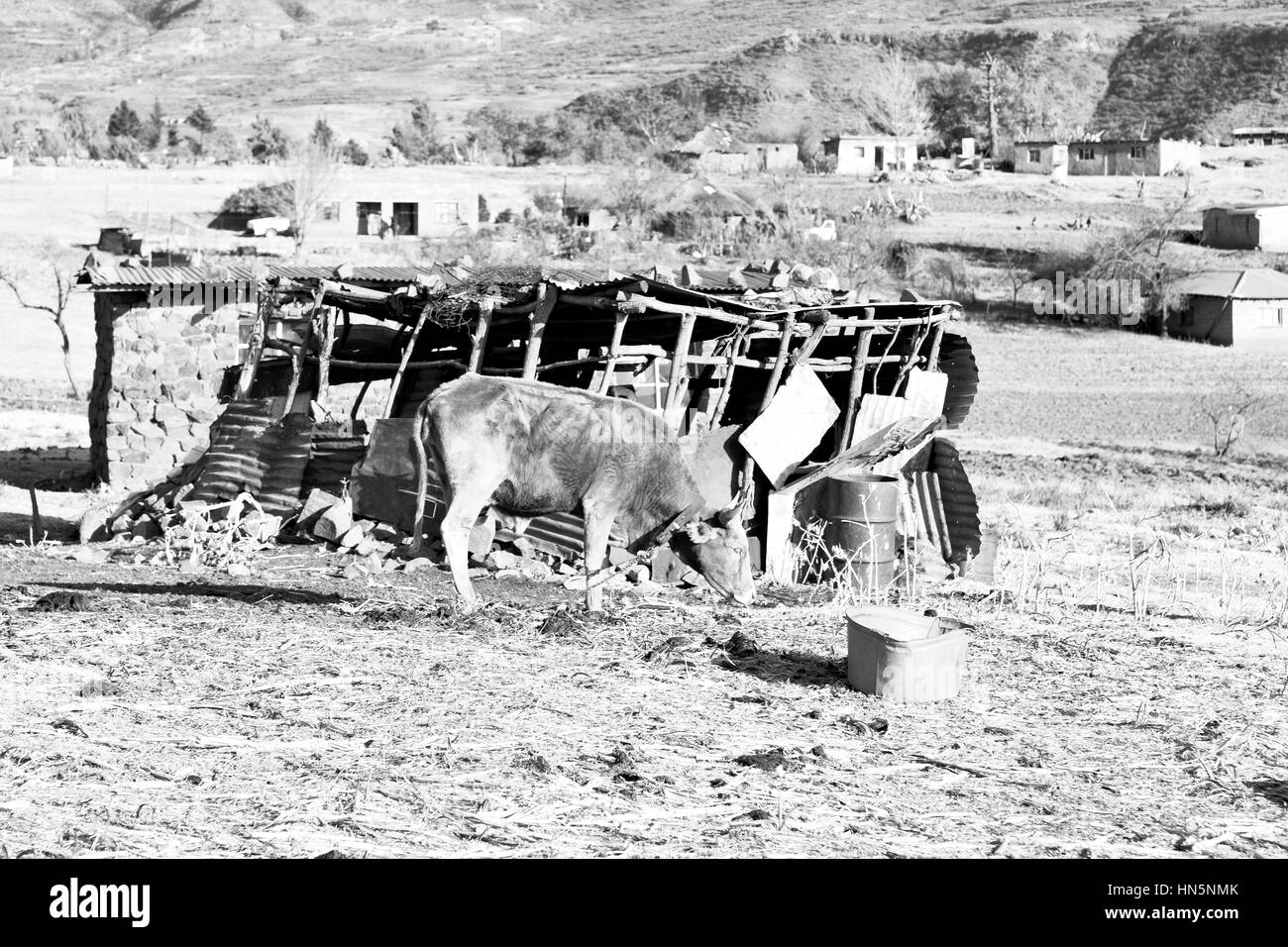 Bewegungsunschärfe in Lesotho Malealea Straßendorf in der Nähe von Berg und Himmel Stockfoto